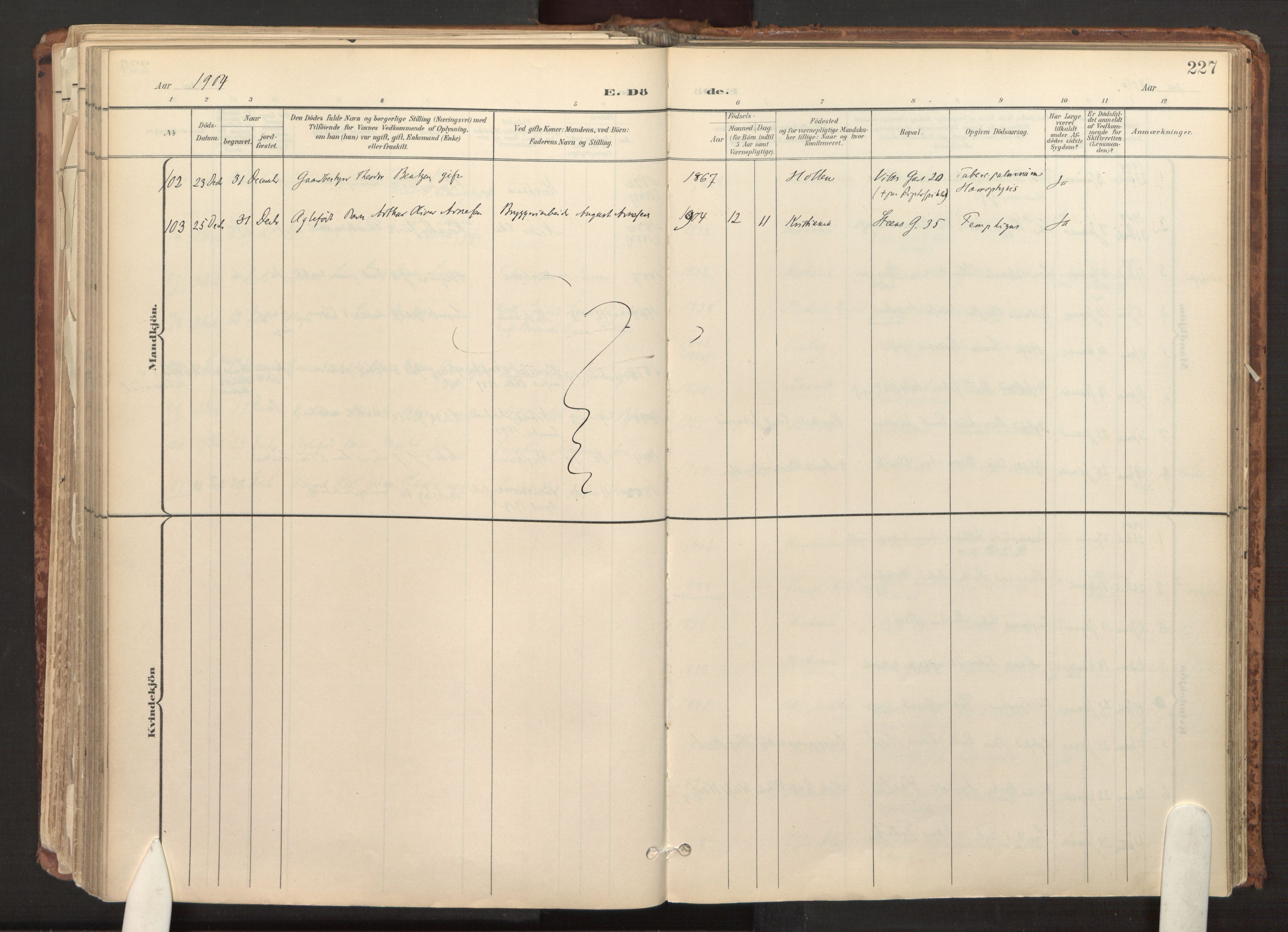 Fagerborg prestekontor Kirkebøker, AV/SAO-A-10844/F/Fa/L0003: Parish register (official) no. 3, 1898-1916, p. 227