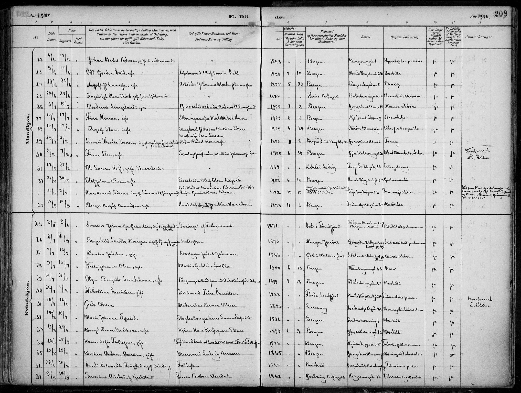 Mariakirken Sokneprestembete, AV/SAB-A-76901/H/Hab/L0005: Parish register (copy) no. A 5, 1893-1913, p. 208