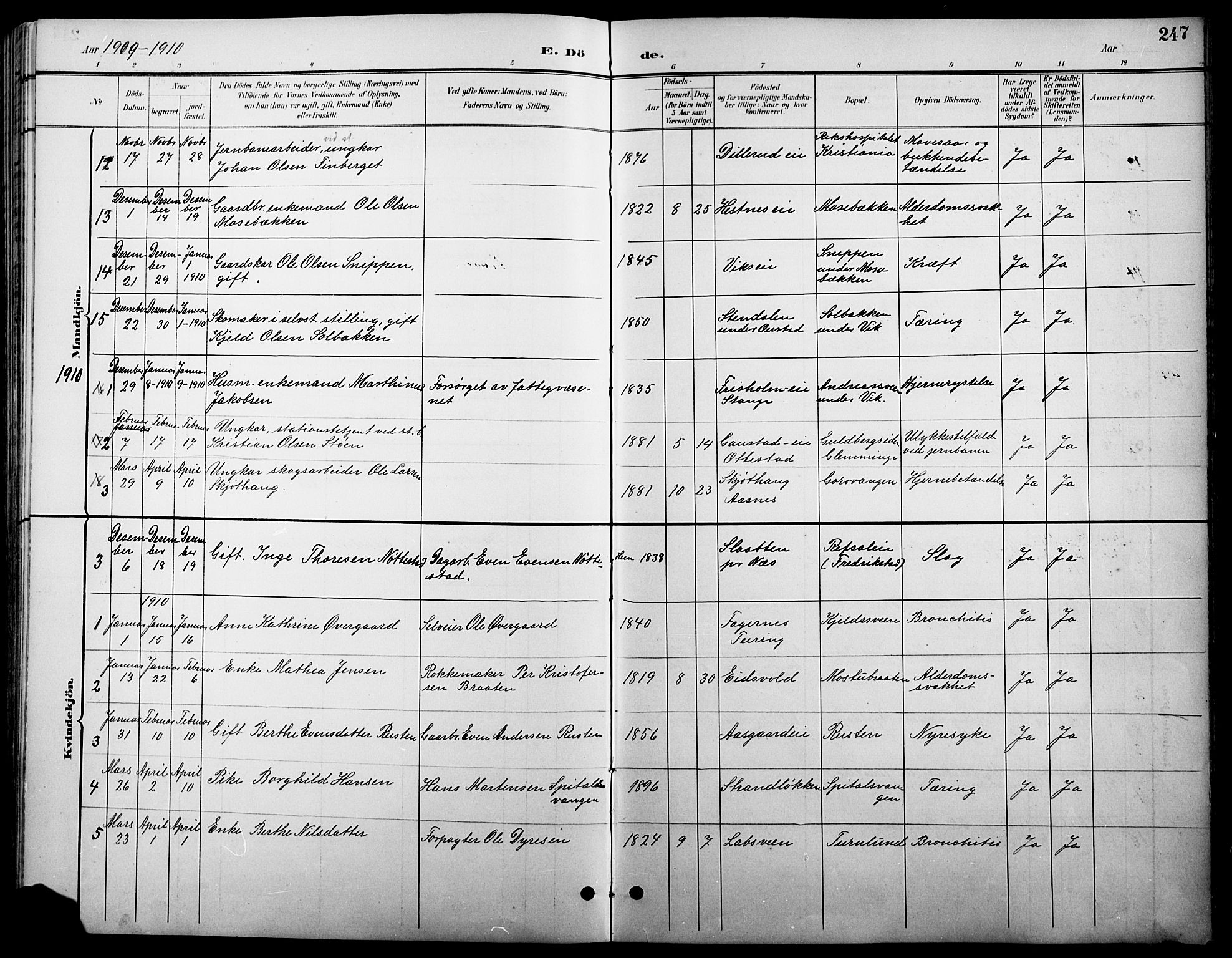 Stange prestekontor, SAH/PREST-002/L/L0011: Parish register (copy) no. 11, 1895-1917, p. 247