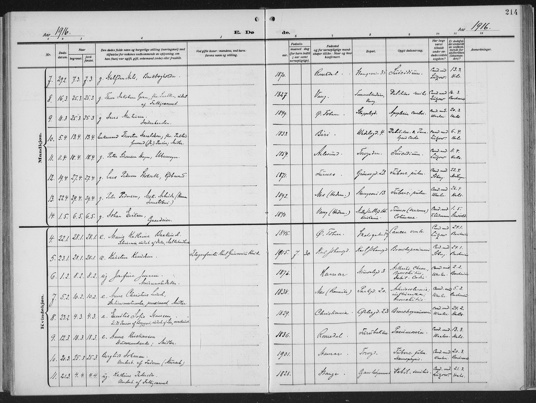 Hamar prestekontor, AV/SAH-DOMPH-002/H/Ha/Haa/L0002: Parish register (official) no. 2, 1915-1936, p. 214