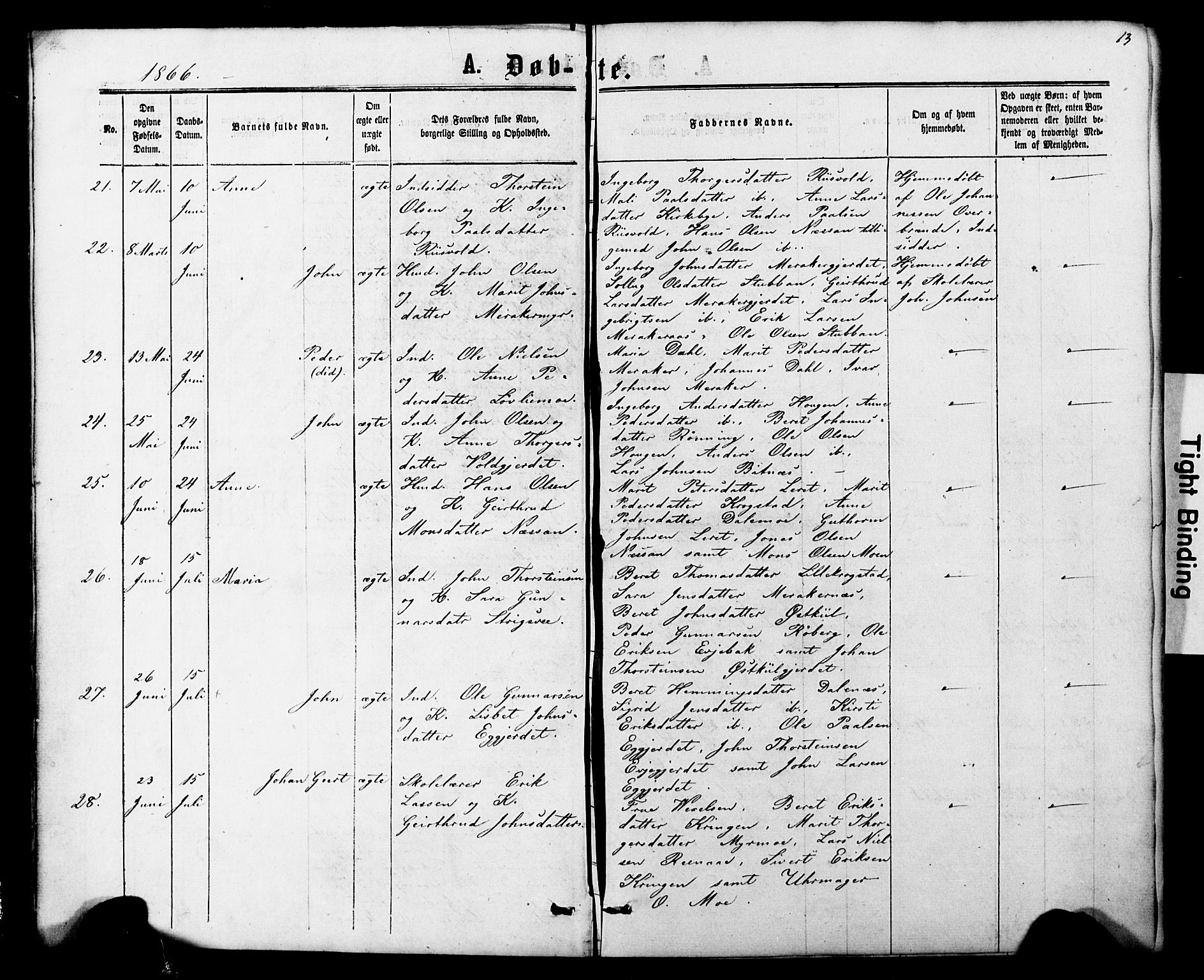 Ministerialprotokoller, klokkerbøker og fødselsregistre - Nord-Trøndelag, AV/SAT-A-1458/706/L0049: Parish register (copy) no. 706C01, 1864-1895, p. 13