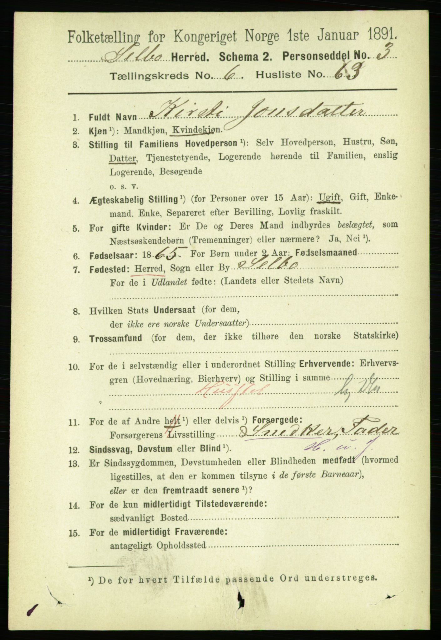 RA, 1891 census for 1664 Selbu, 1891, p. 2516