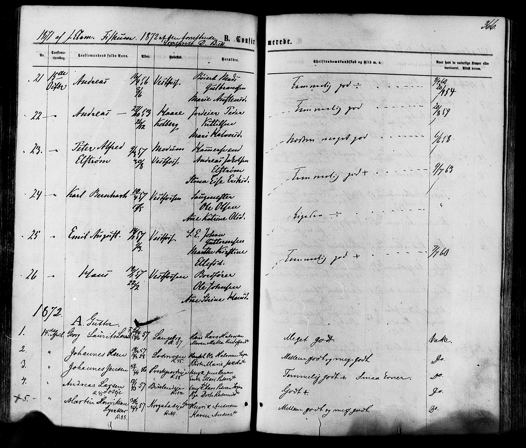 Eiker kirkebøker, SAKO/A-4/F/Fa/L0017: Parish register (official) no. I 17, 1869-1877, p. 366
