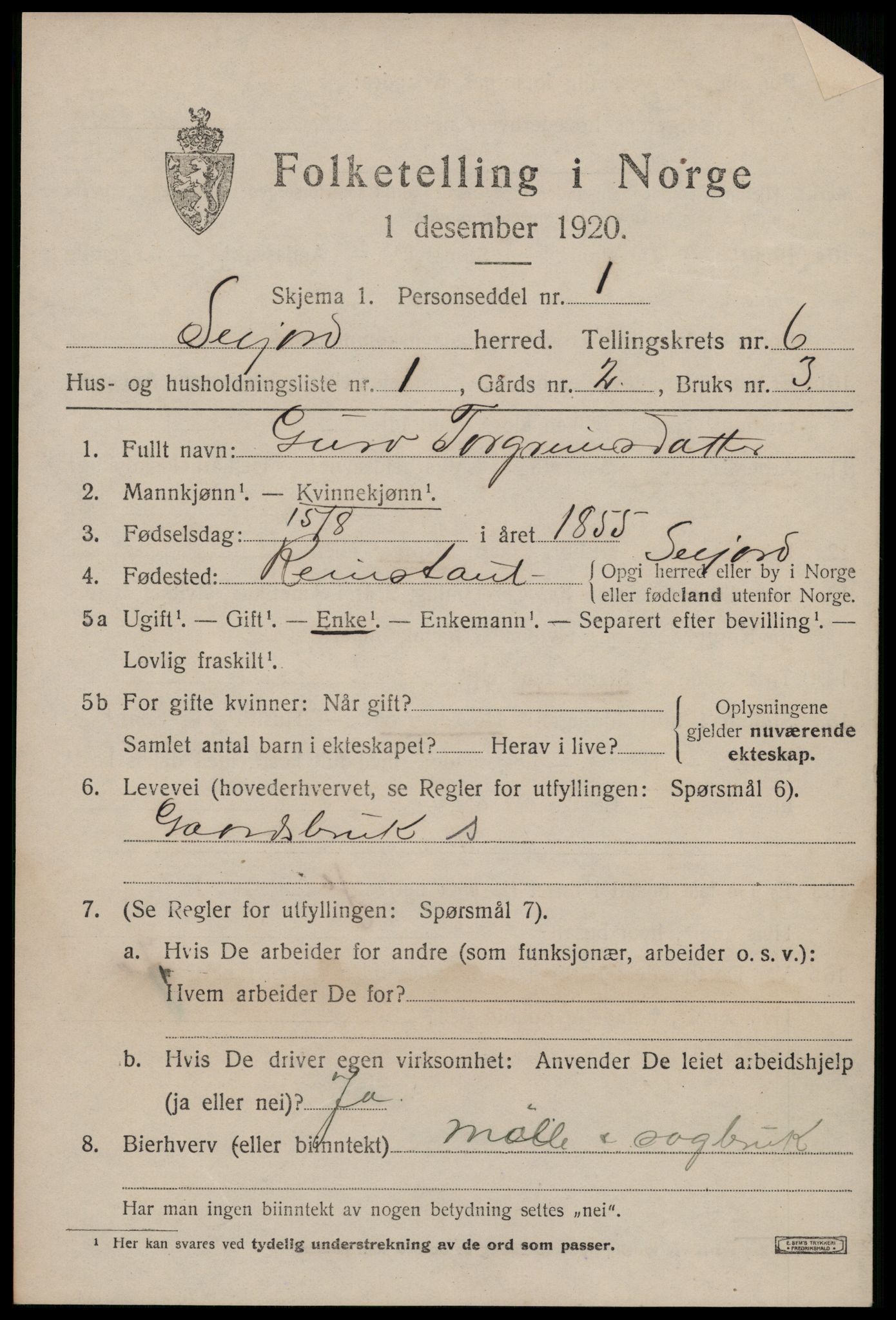 SAKO, 1920 census for Seljord, 1920, p. 2758