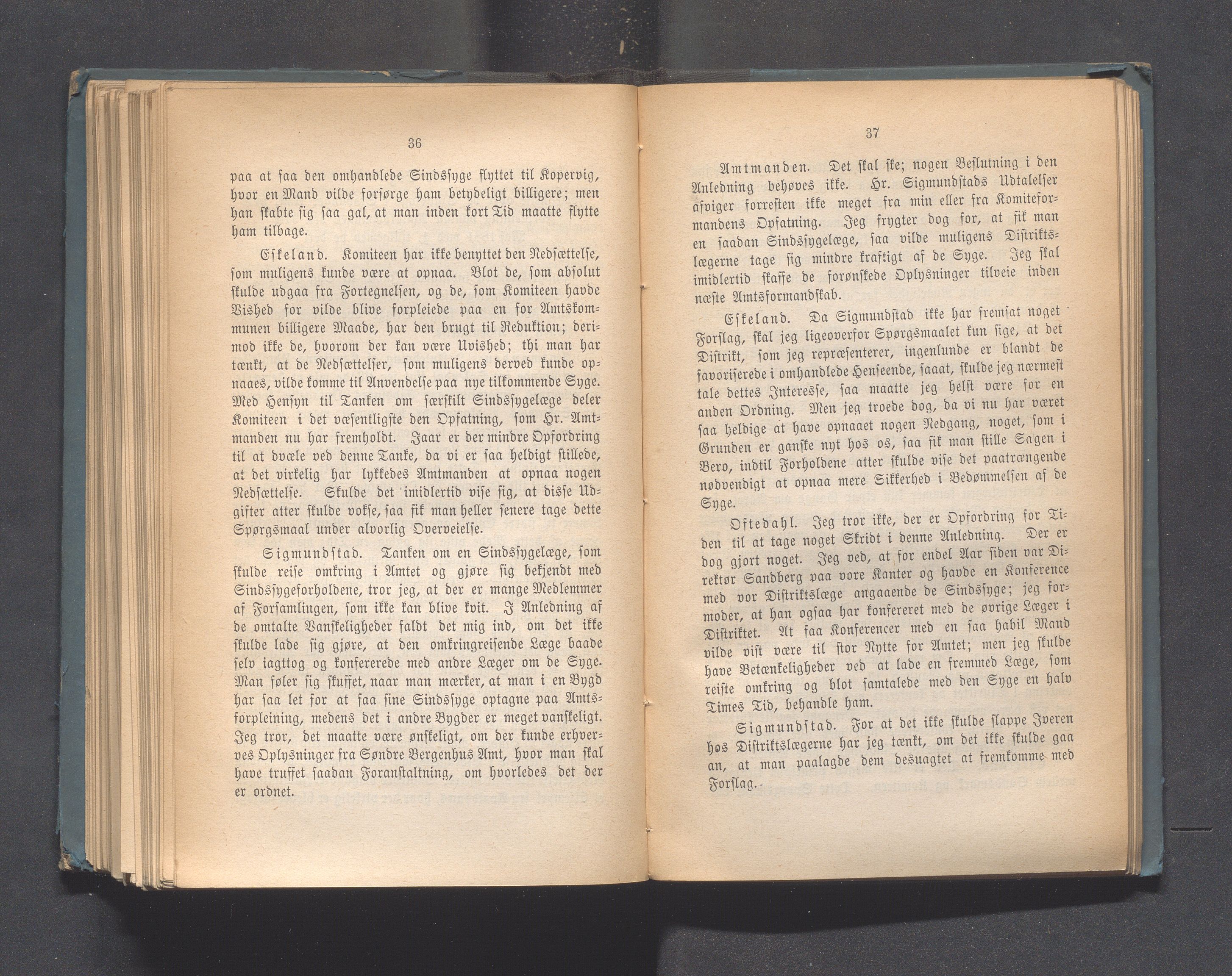 Rogaland fylkeskommune - Fylkesrådmannen , IKAR/A-900/A, 1881, p. 244