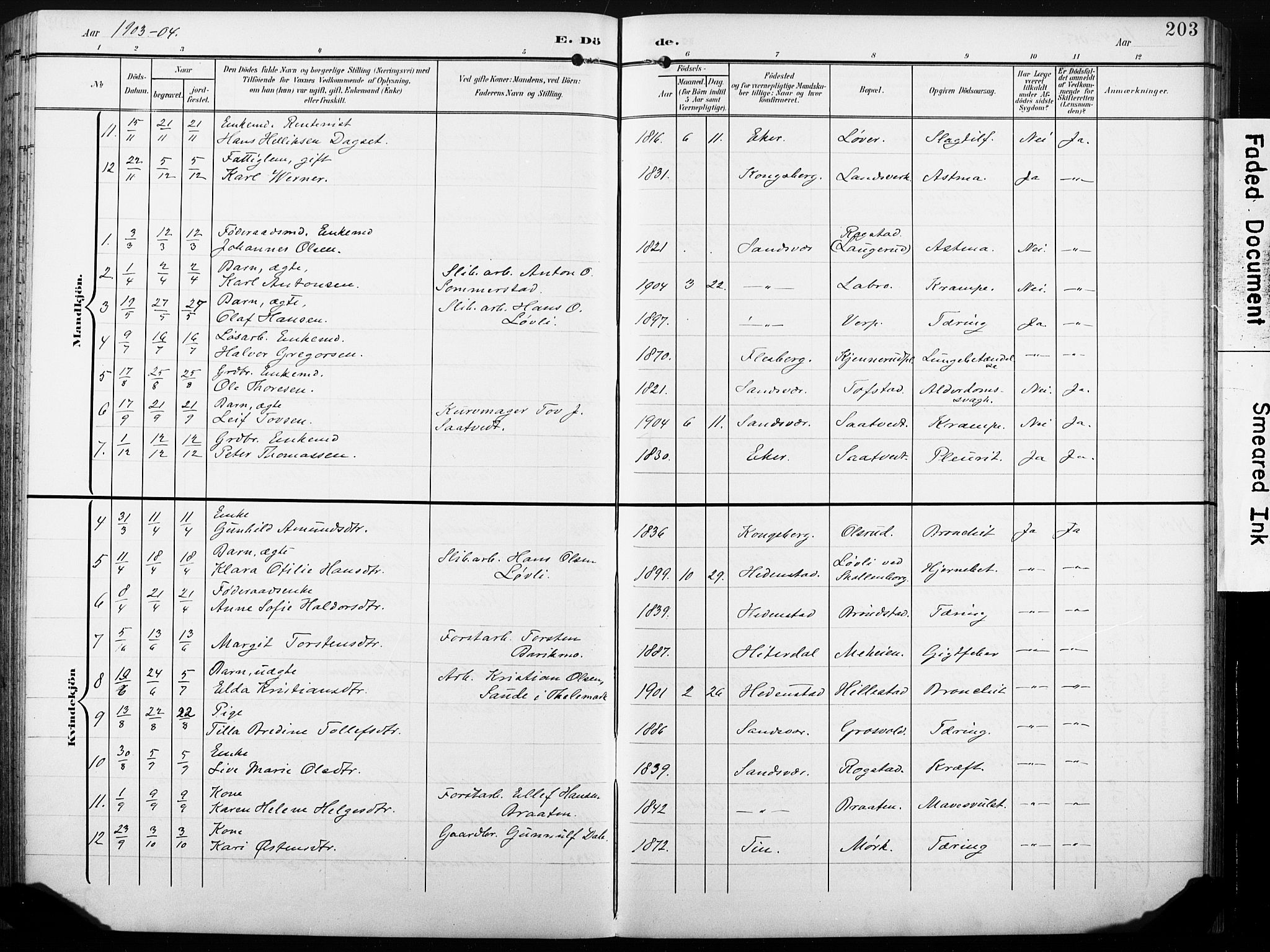 Sandsvær kirkebøker, AV/SAKO-A-244/G/Gd/L0004a: Parish register (copy) no. IV 4A, 1901-1932, p. 203