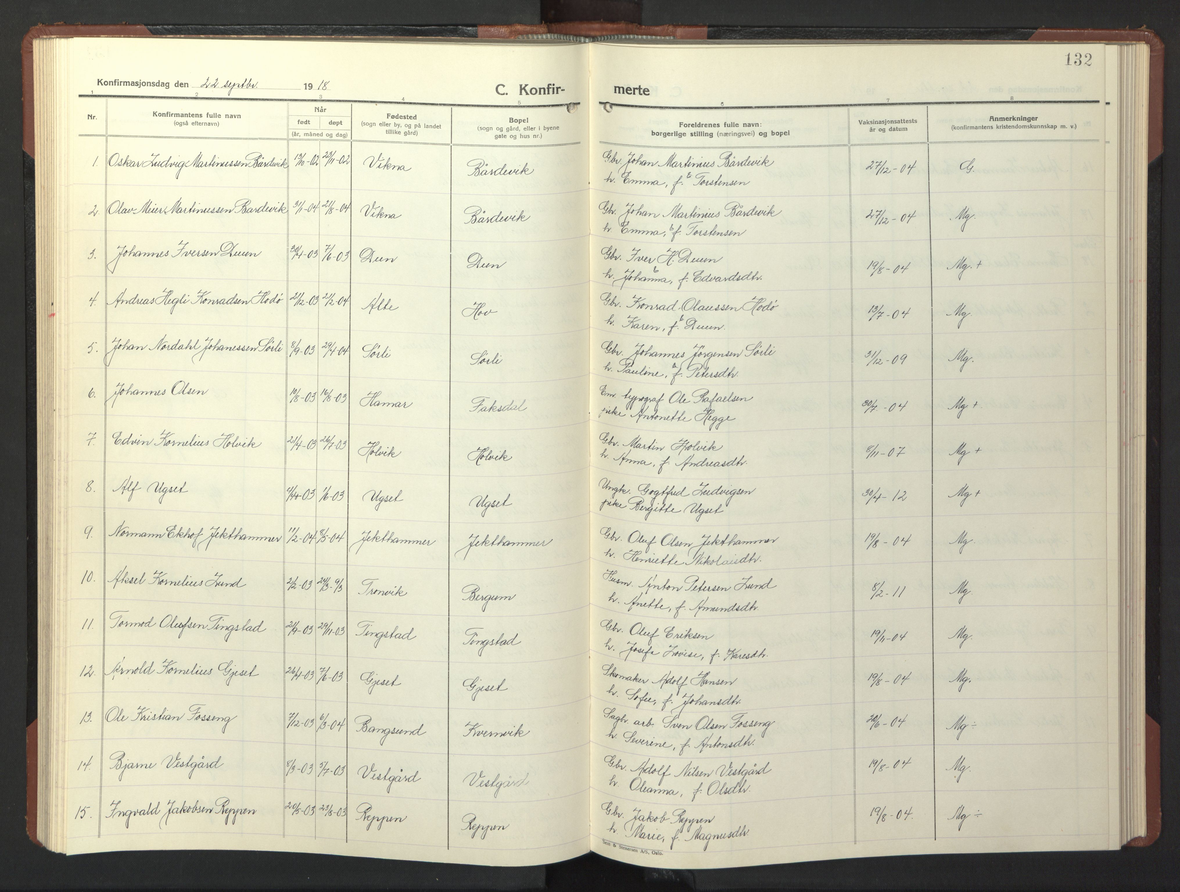 Ministerialprotokoller, klokkerbøker og fødselsregistre - Nord-Trøndelag, AV/SAT-A-1458/773/L0625: Parish register (copy) no. 773C01, 1910-1952, p. 132