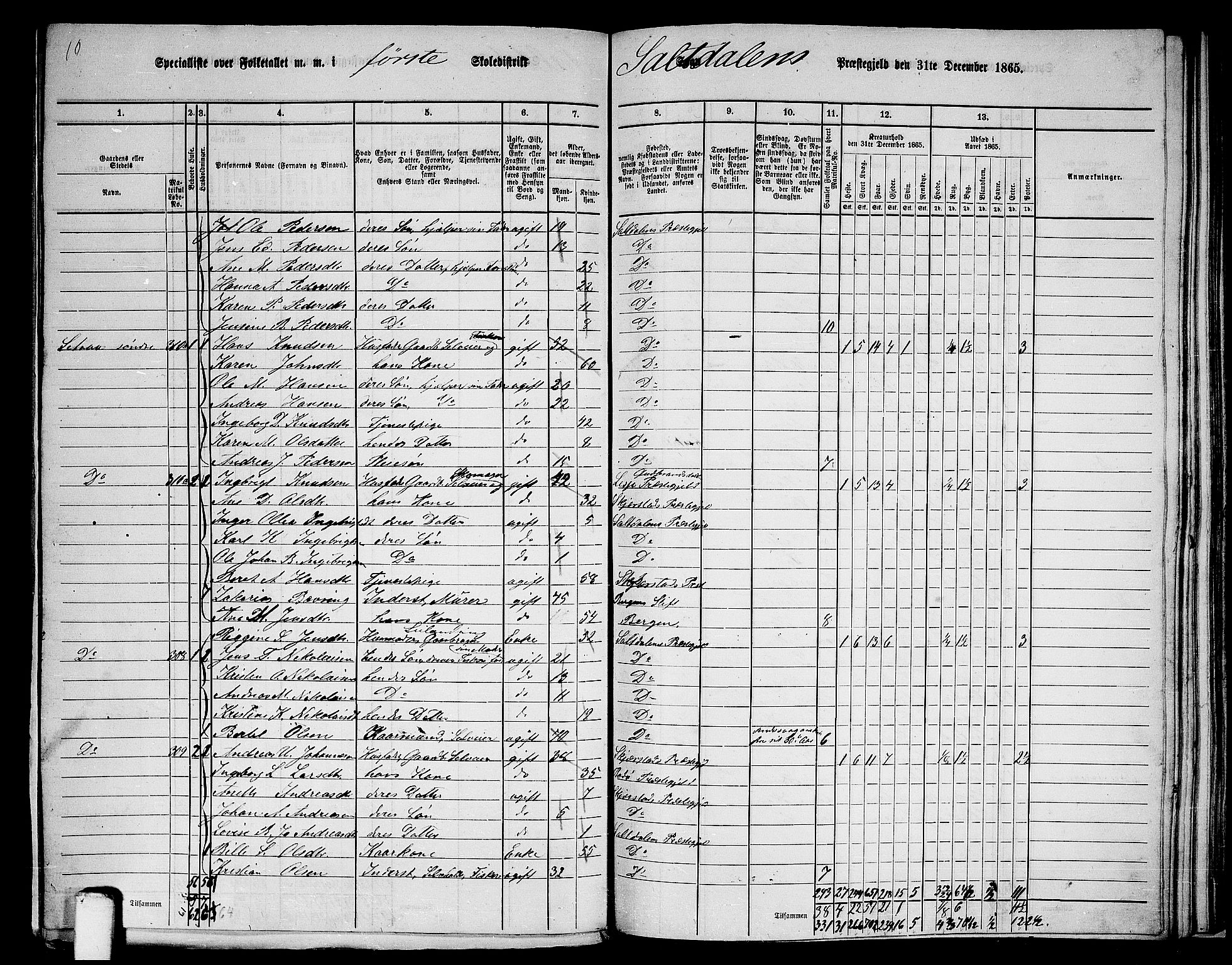 RA, 1865 census for Saltdal, 1865, p. 15