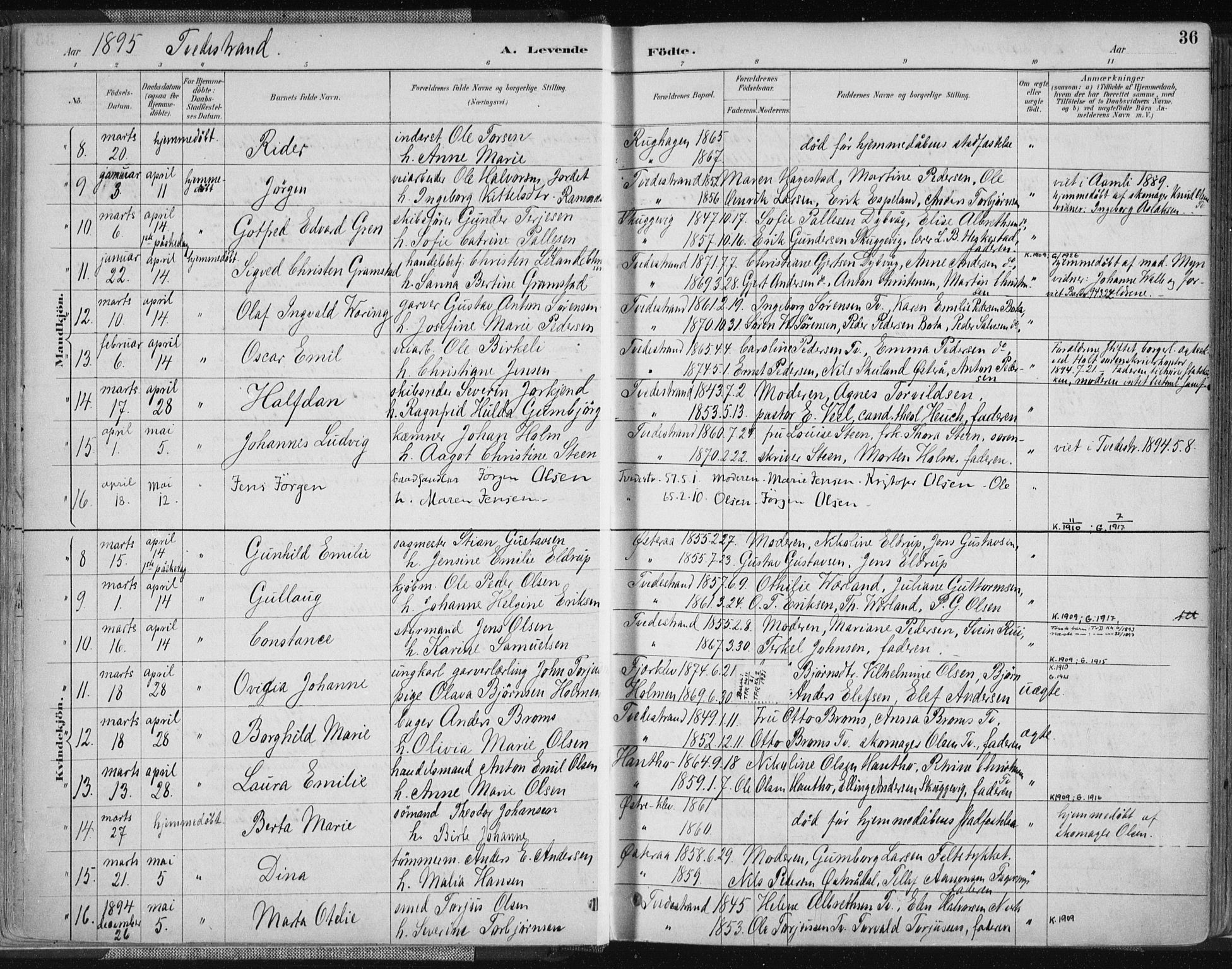 Tvedestrand sokneprestkontor, SAK/1111-0042/F/Fa/L0001: Parish register (official) no. A 1, 1885-1916, p. 36