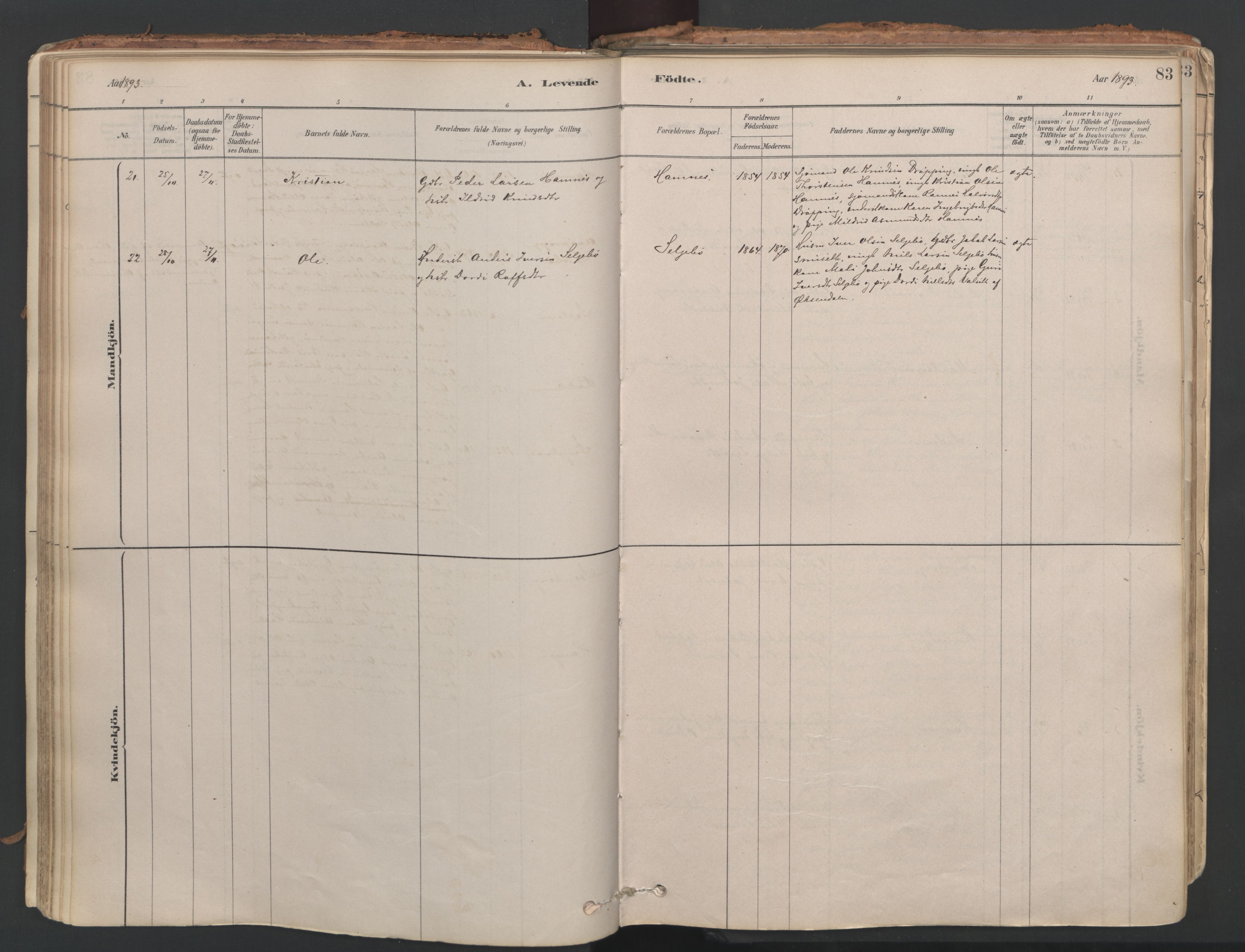 Ministerialprotokoller, klokkerbøker og fødselsregistre - Møre og Romsdal, AV/SAT-A-1454/592/L1029: Parish register (official) no. 592A07, 1879-1902, p. 83