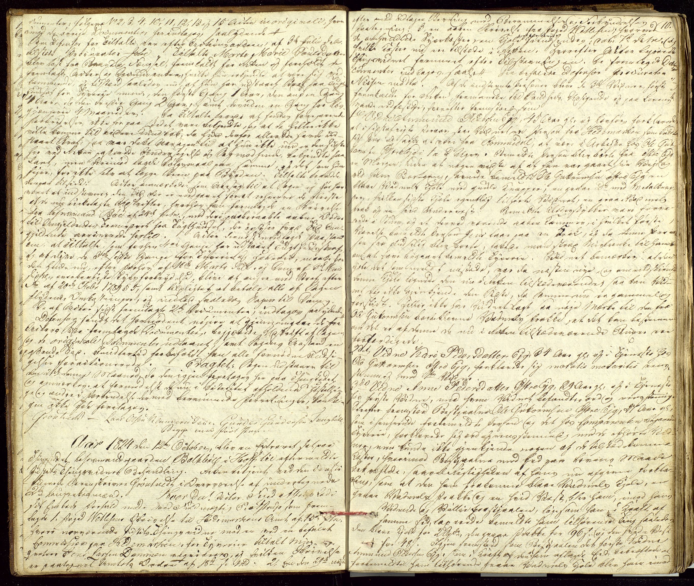 Solør og Odalen sorenskriveri, AV/SAH-TING-026/G/Gc/Gca/L0014: Justis- og politisaker, 1824-1827, p. 10