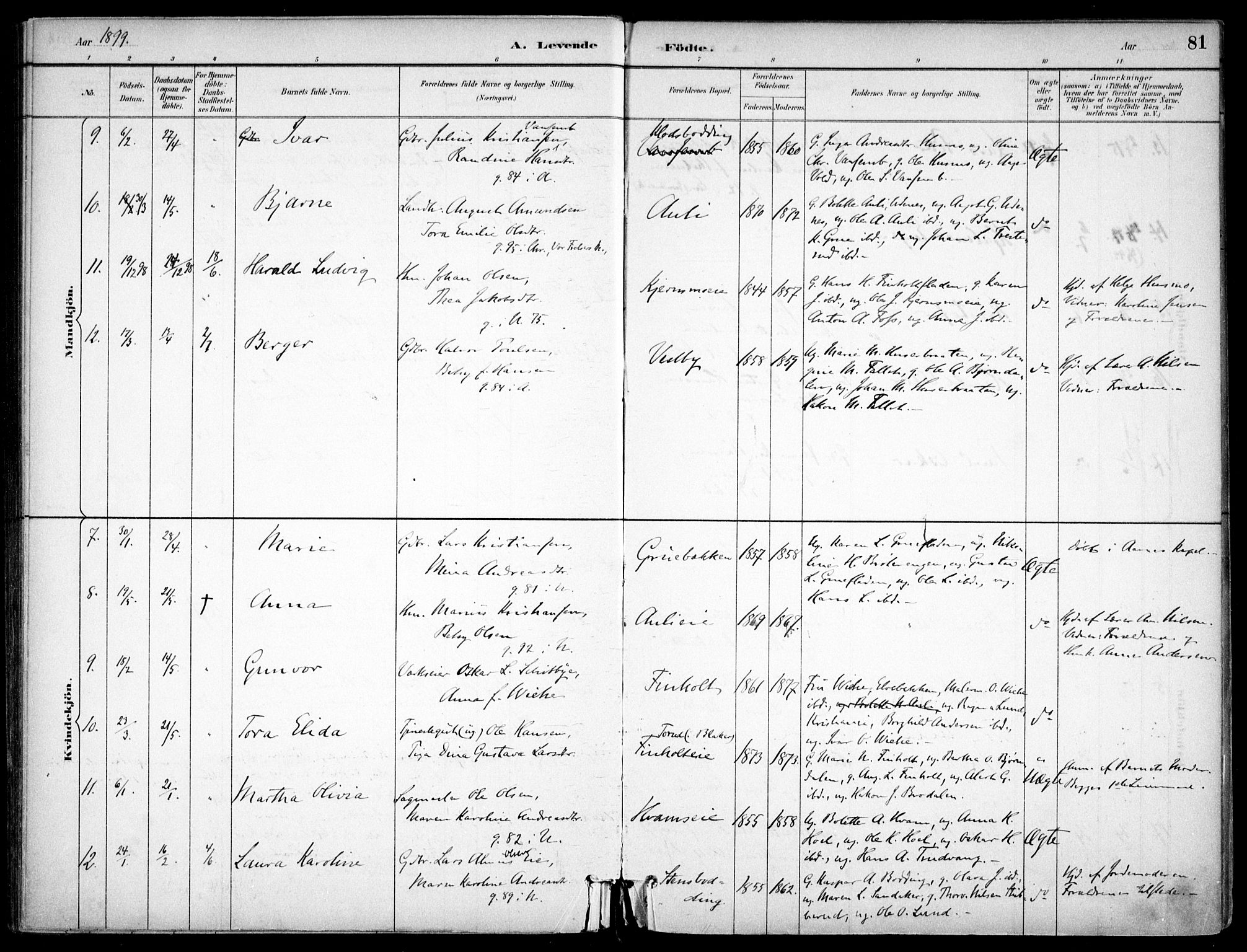 Nes prestekontor Kirkebøker, AV/SAO-A-10410/F/Fc/L0002: Parish register (official) no. IIi 2, 1882-1916, p. 81