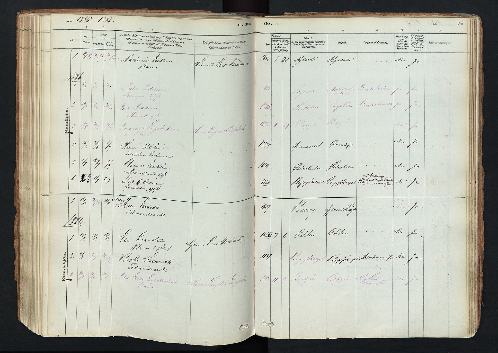 Trysil prestekontor, SAH/PREST-046/H/Ha/Haa/L0011: Parish register (official) no. 11, 1878-1912, p. 206