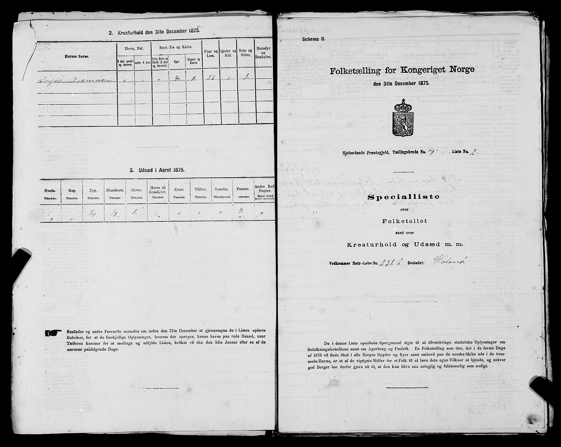 SAST, 1875 census for 1133P Hjelmeland, 1875, p. 1148