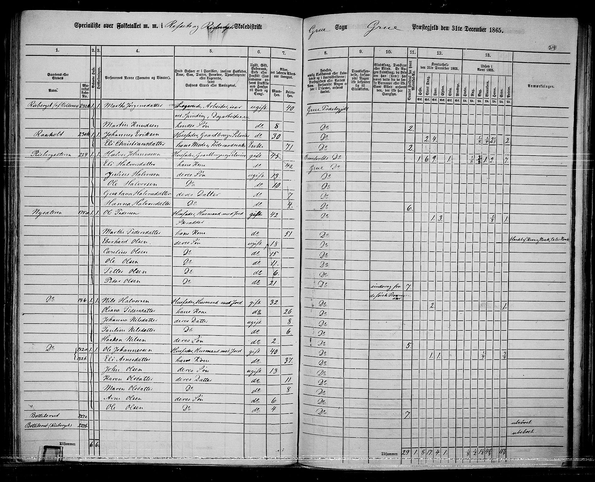 RA, 1865 census for Grue, 1865, p. 282