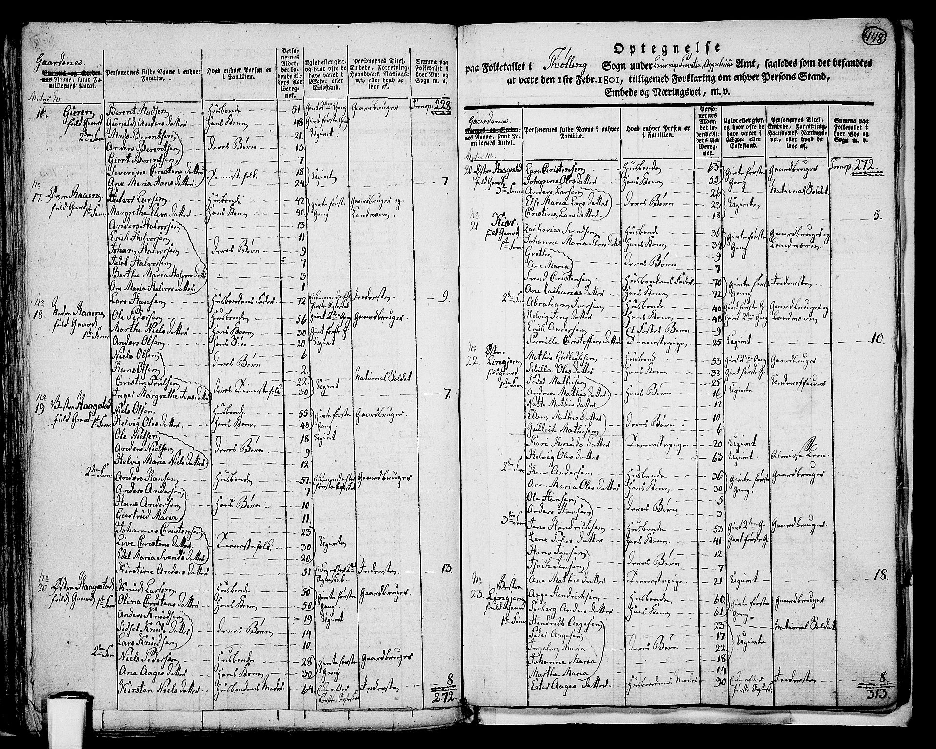 RA, 1801 census for 0725P Tjølling, 1801, p. 447b-448a