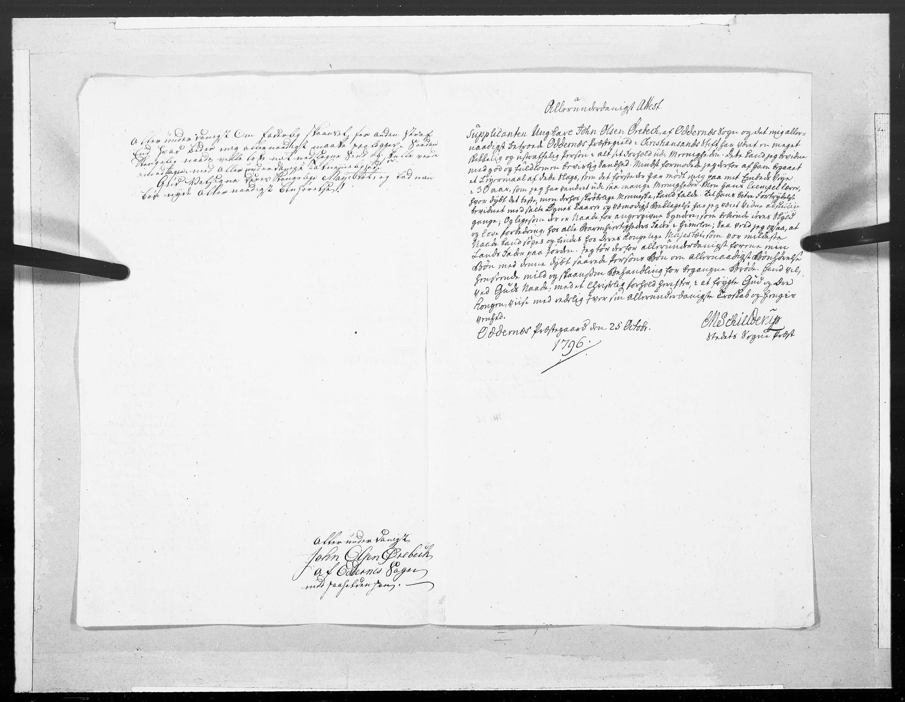Danske Kanselli 1572-1799, RA/EA-3023/F/Fc/Fcc/Fcca/L0307: Norske innlegg 1572-1799, 1796, p. 291
