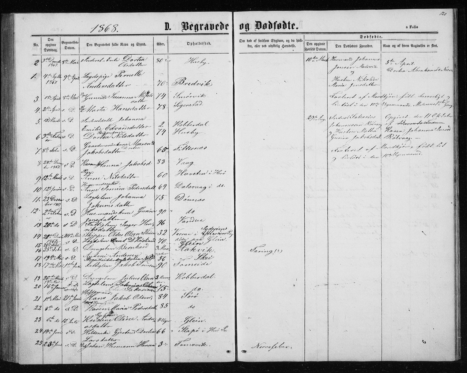 Ministerialprotokoller, klokkerbøker og fødselsregistre - Nordland, AV/SAT-A-1459/835/L0531: Parish register (copy) no. 835C03, 1865-1877, p. 120