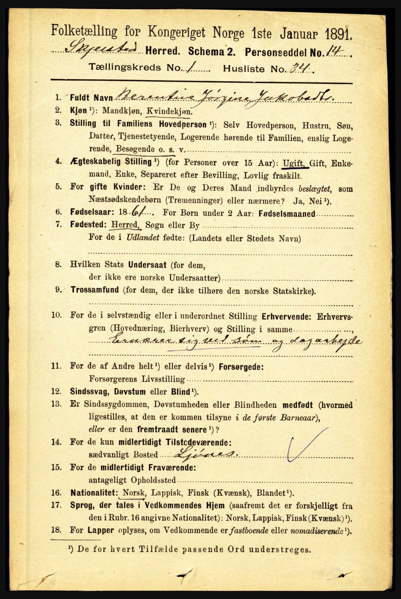 RA, 1891 census for 1842 Skjerstad, 1891, p. 292