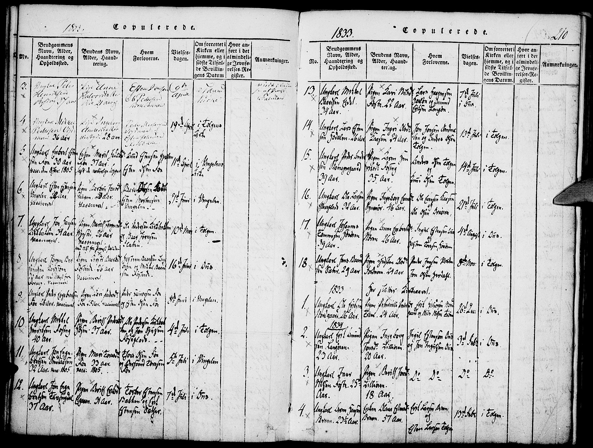 Tolga prestekontor, AV/SAH-PREST-062/K/L0004: Parish register (official) no. 4, 1815-1836, p. 210