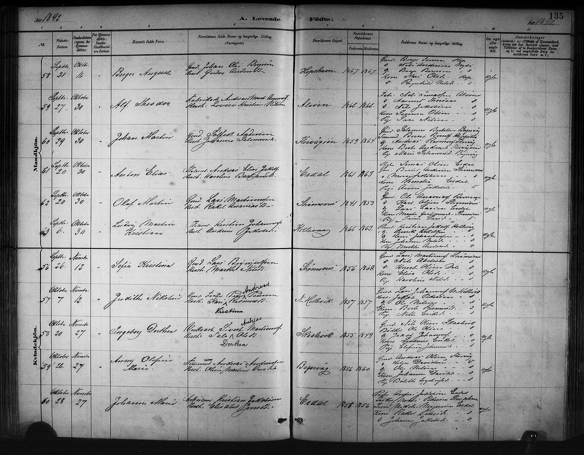 Askøy Sokneprestembete, AV/SAB-A-74101/H/Ha/Hab/Haba/L0008: Parish register (copy) no. A 8, 1882-1893, p. 135