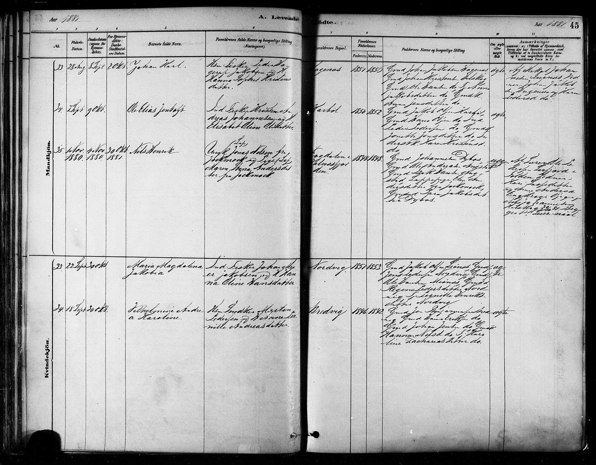 Ministerialprotokoller, klokkerbøker og fødselsregistre - Nordland, AV/SAT-A-1459/852/L0740: Parish register (official) no. 852A10, 1878-1894, p. 45