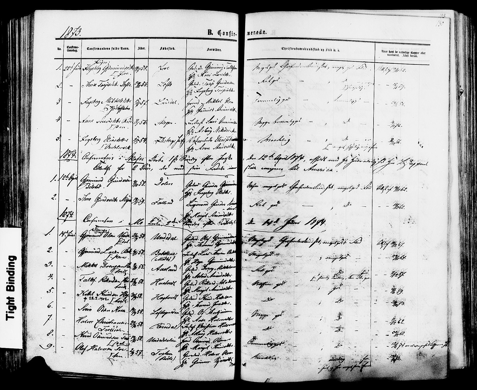 Mo kirkebøker, SAKO/A-286/F/Fa/L0006: Parish register (official) no. I 6, 1865-1885, p. 130