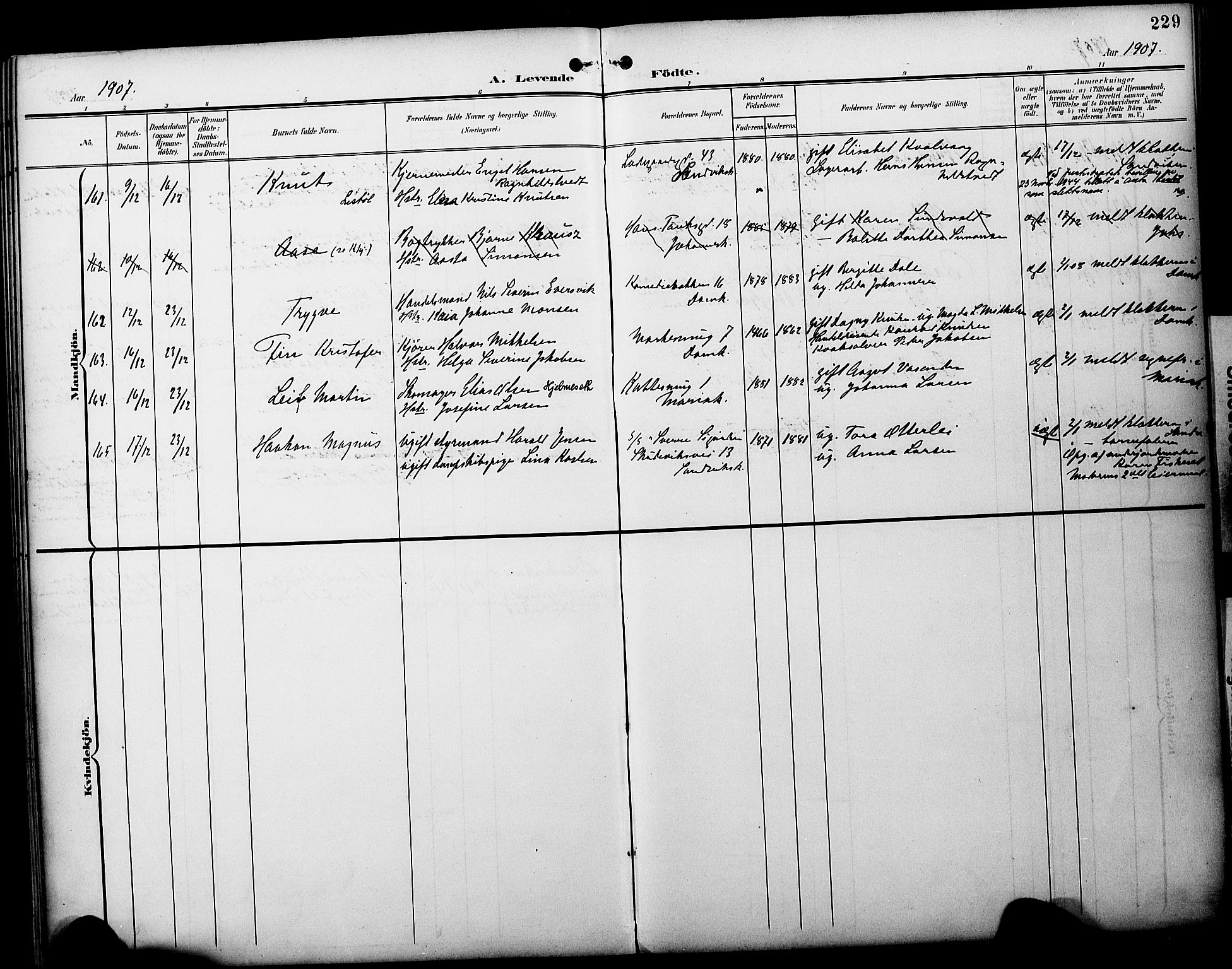 Fødselsstiftelsens sokneprestembete*, SAB/-: Parish register (official) no. A 3, 1901-1910, p. 229