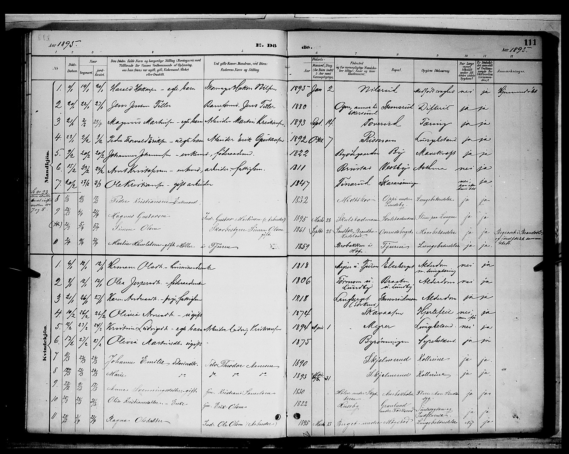 Grue prestekontor, SAH/PREST-036/H/Ha/Hab/L0003: Parish register (copy) no. 3, 1895-1899, p. 111