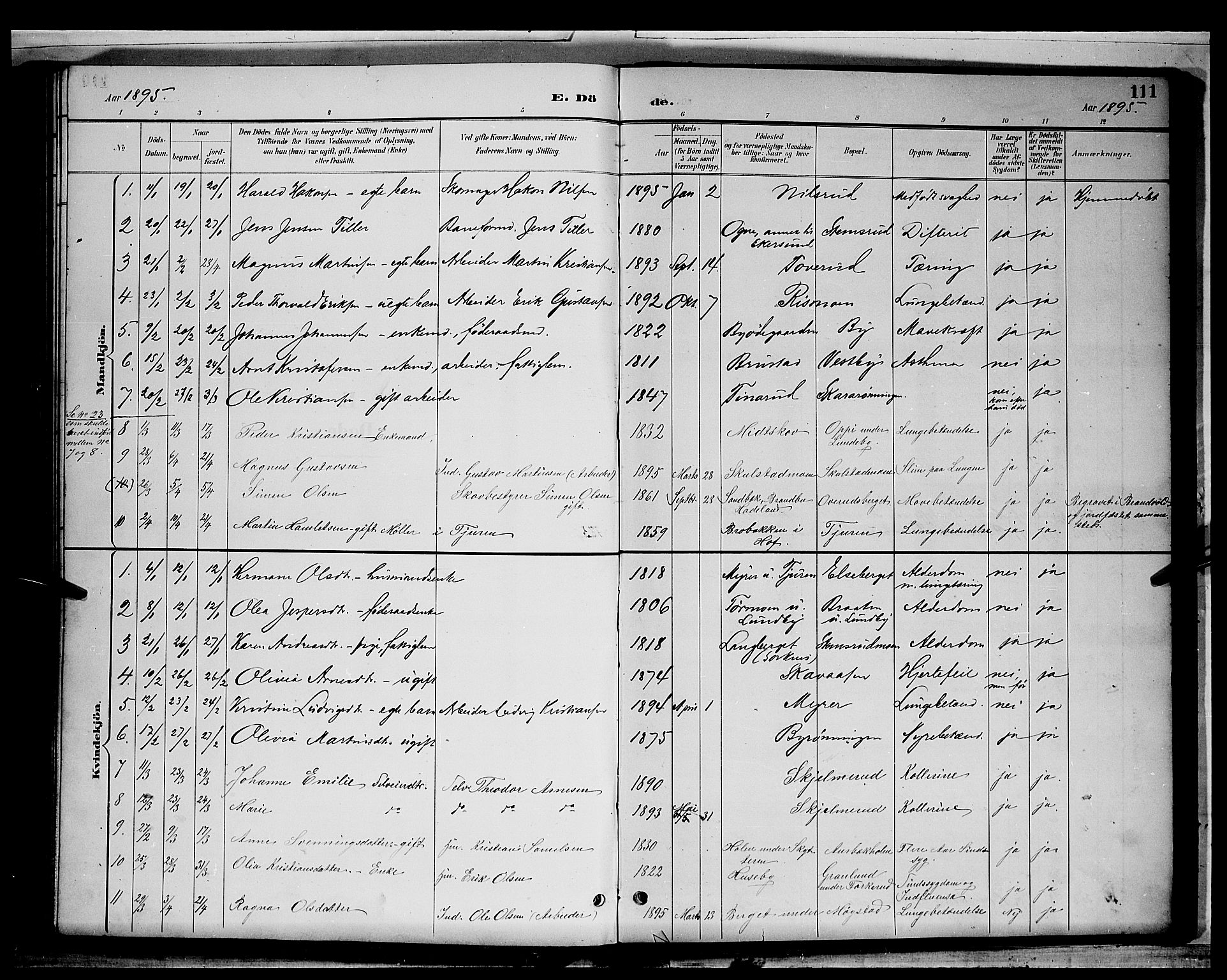 Grue prestekontor, AV/SAH-PREST-036/H/Ha/Hab/L0003: Parish register (copy) no. 3, 1895-1899, p. 111