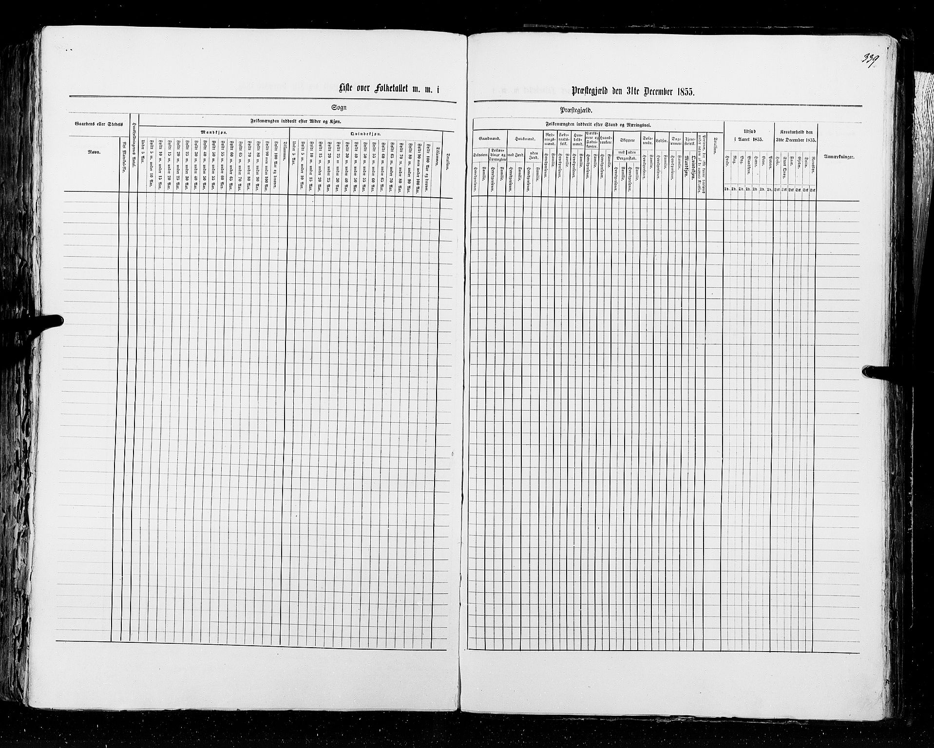 RA, Census 1855, vol. 2: Kristians amt, Buskerud amt og Jarlsberg og Larvik amt, 1855, p. 339