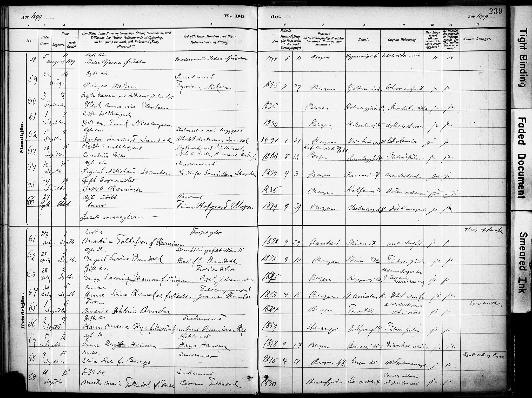 Domkirken sokneprestembete, SAB/A-74801/H/Haa/L0043: Parish register (official) no. E 5, 1882-1904, p. 239