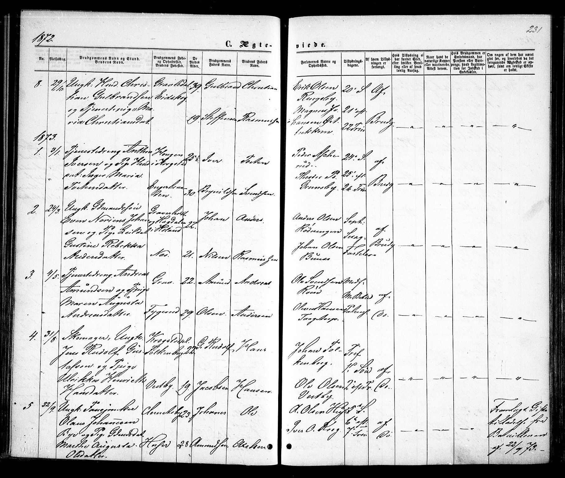 Rødenes prestekontor Kirkebøker, AV/SAO-A-2005/F/Fa/L0008: Parish register (official) no. I 8, 1869-1879, p. 231