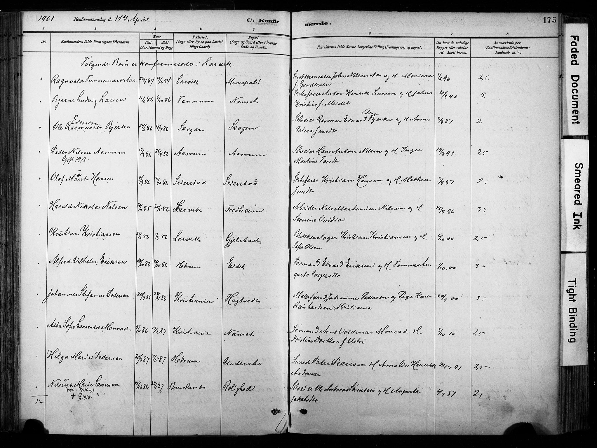 Hedrum kirkebøker, SAKO/A-344/F/Fa/L0009: Parish register (official) no. I 9, 1881-1903, p. 175