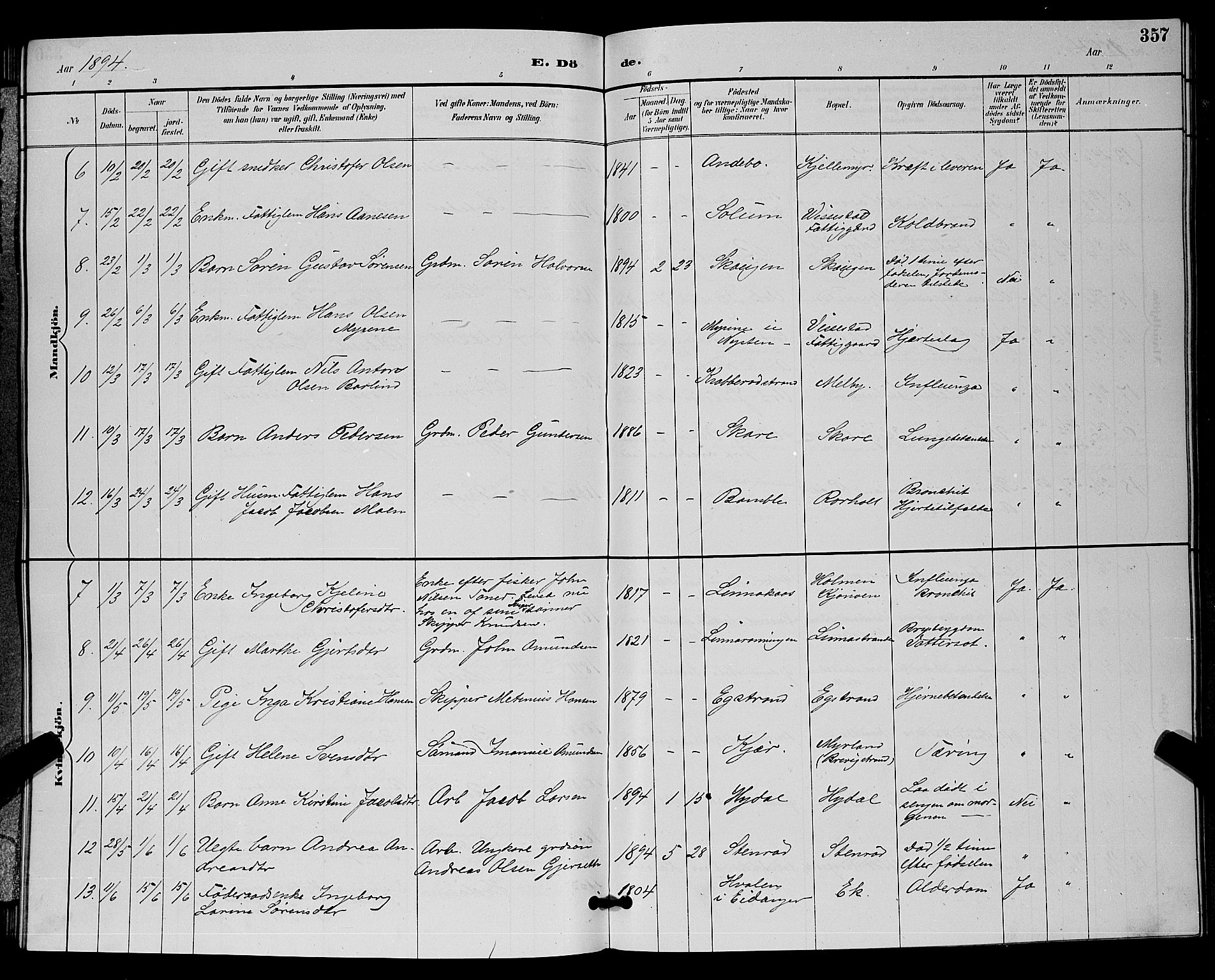 Bamble kirkebøker, SAKO/A-253/G/Ga/L0009: Parish register (copy) no. I 9, 1888-1900, p. 357