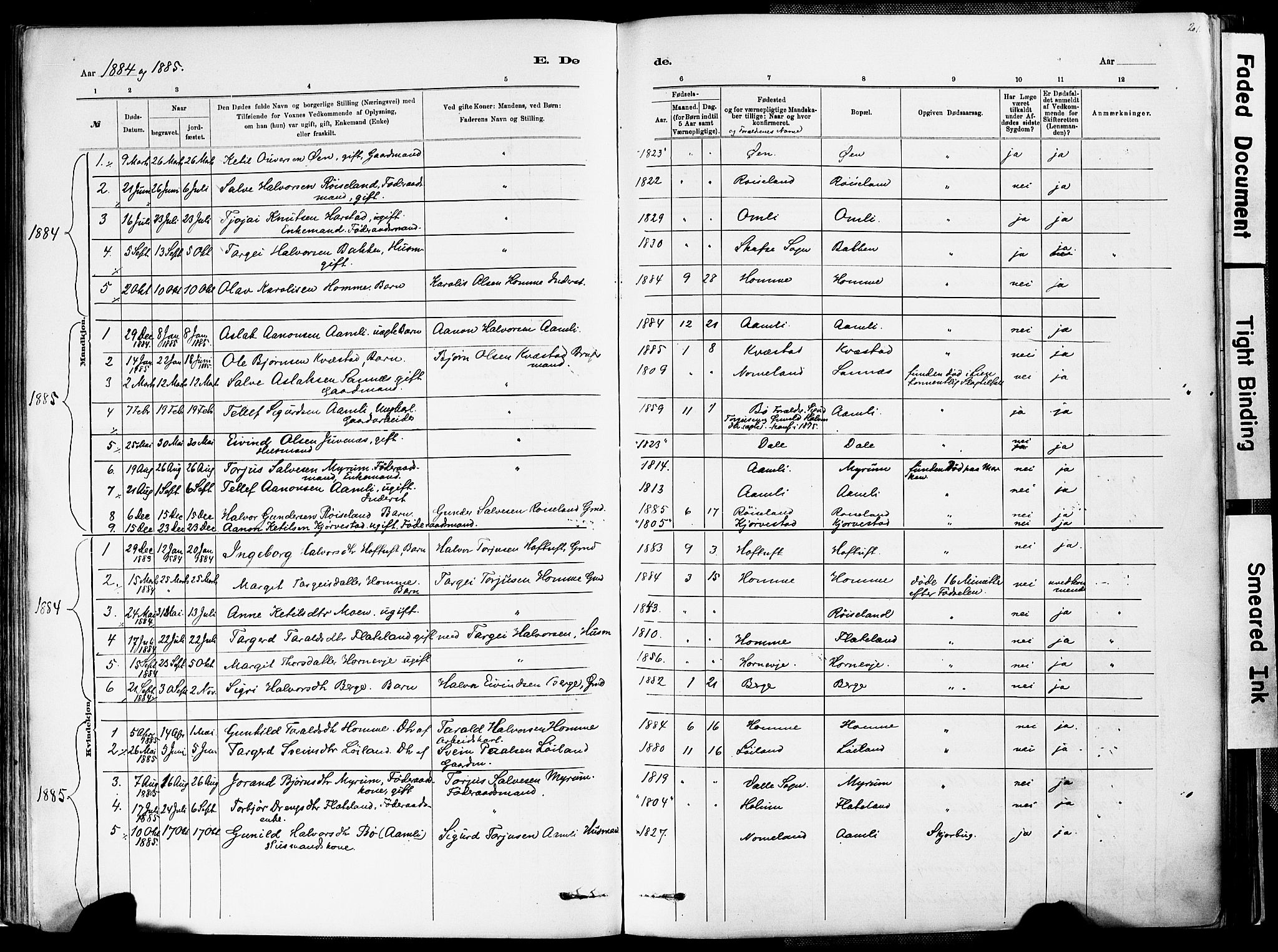 Valle sokneprestkontor, AV/SAK-1111-0044/F/Fa/Fac/L0009: Parish register (official) no. A 9, 1882-1913, p. 201