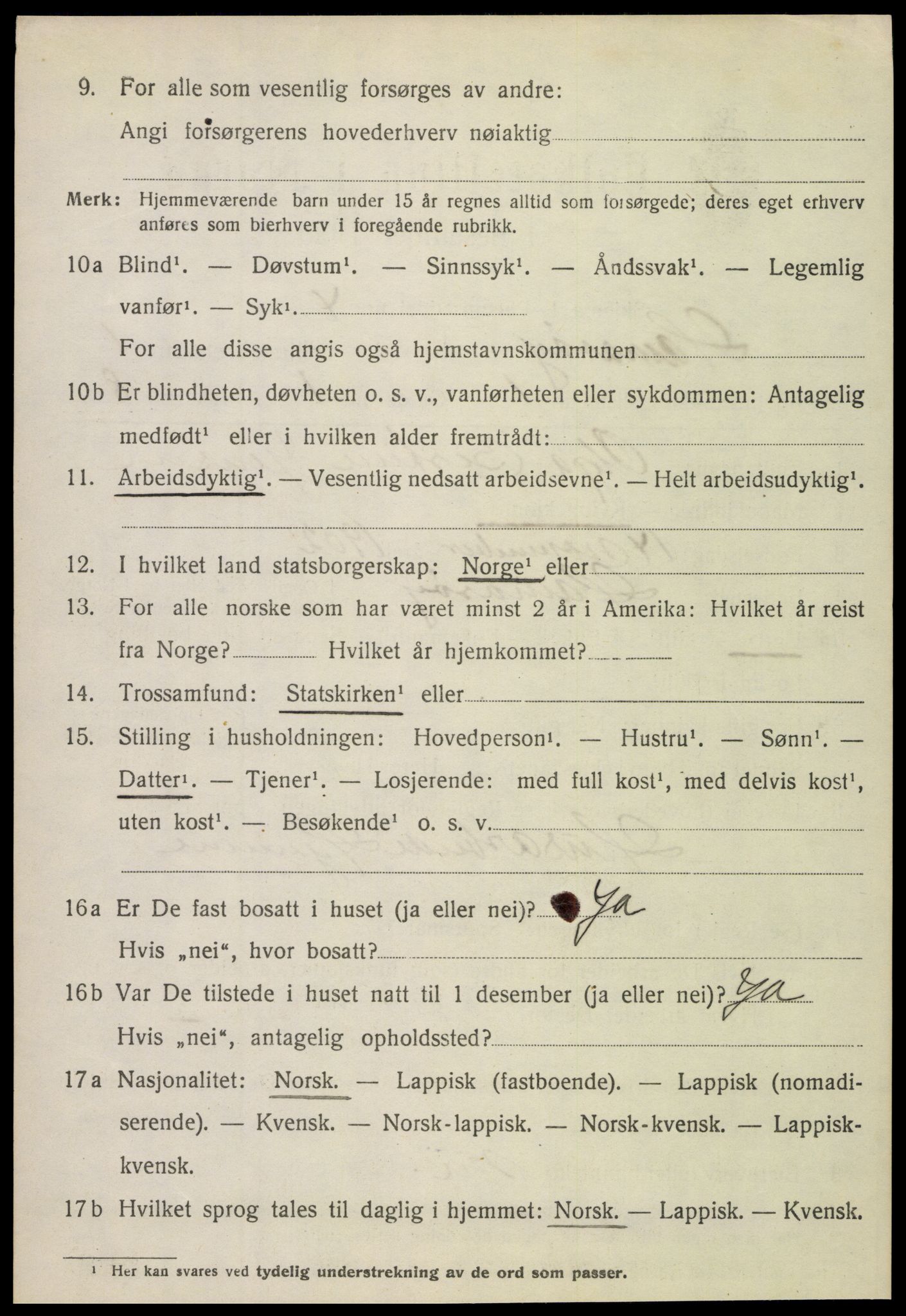 SAT, 1920 census for Hamarøy, 1920, p. 1185