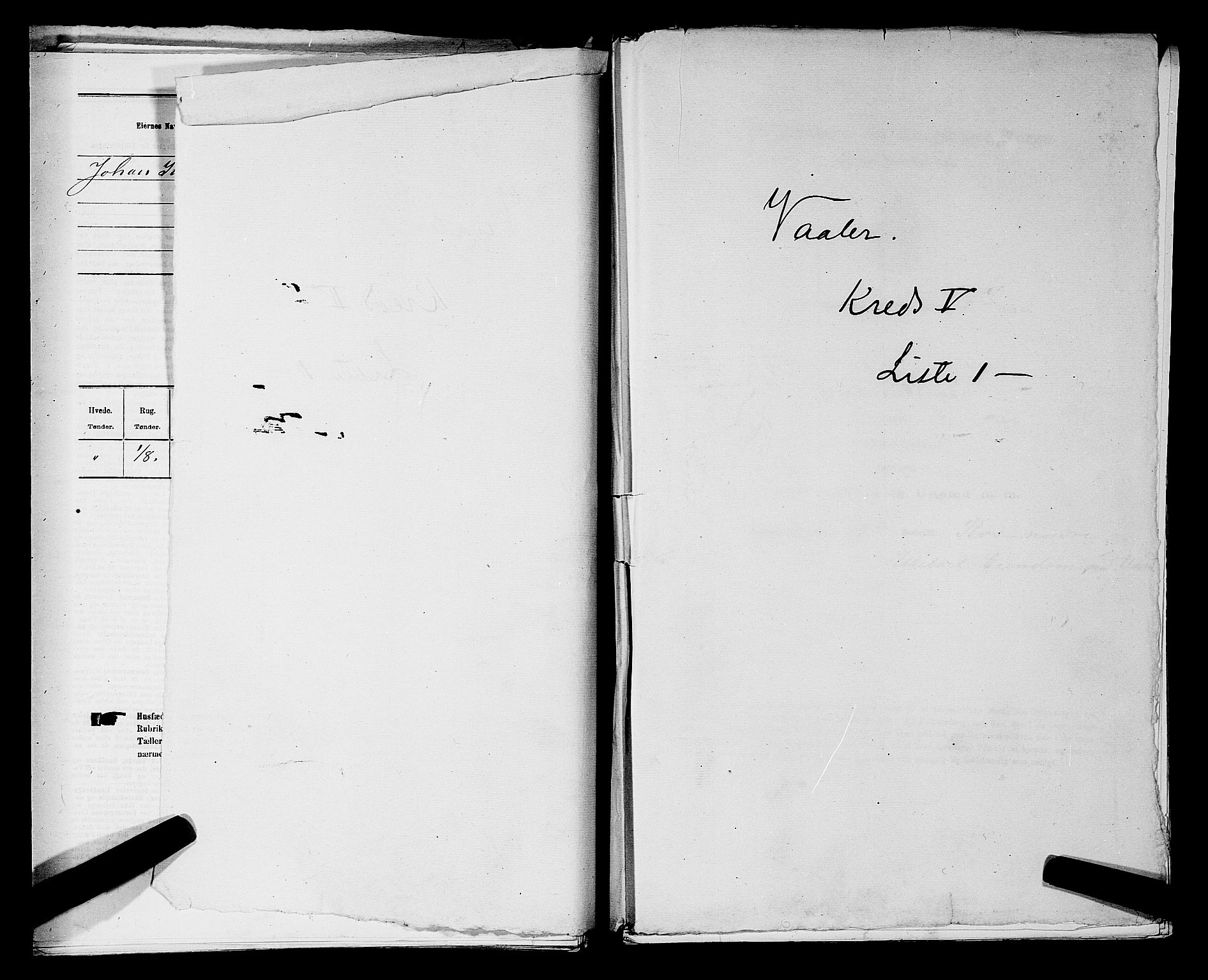 RA, 1875 census for 0137P Våler, 1875, p. 661
