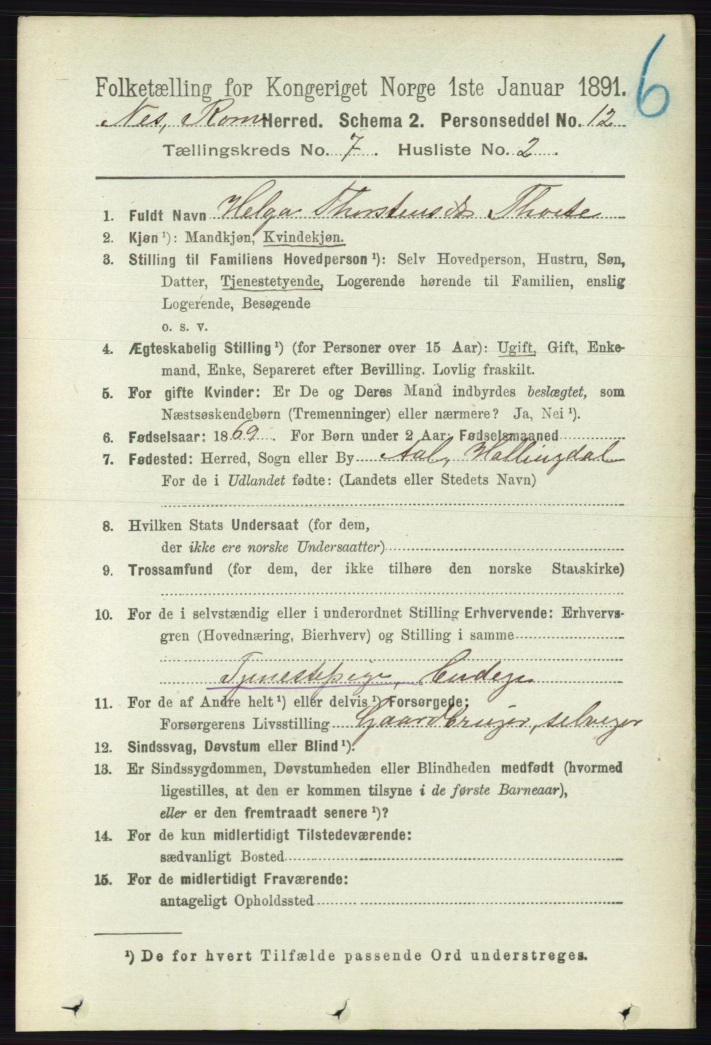 RA, 1891 census for 0236 Nes, 1891, p. 4036