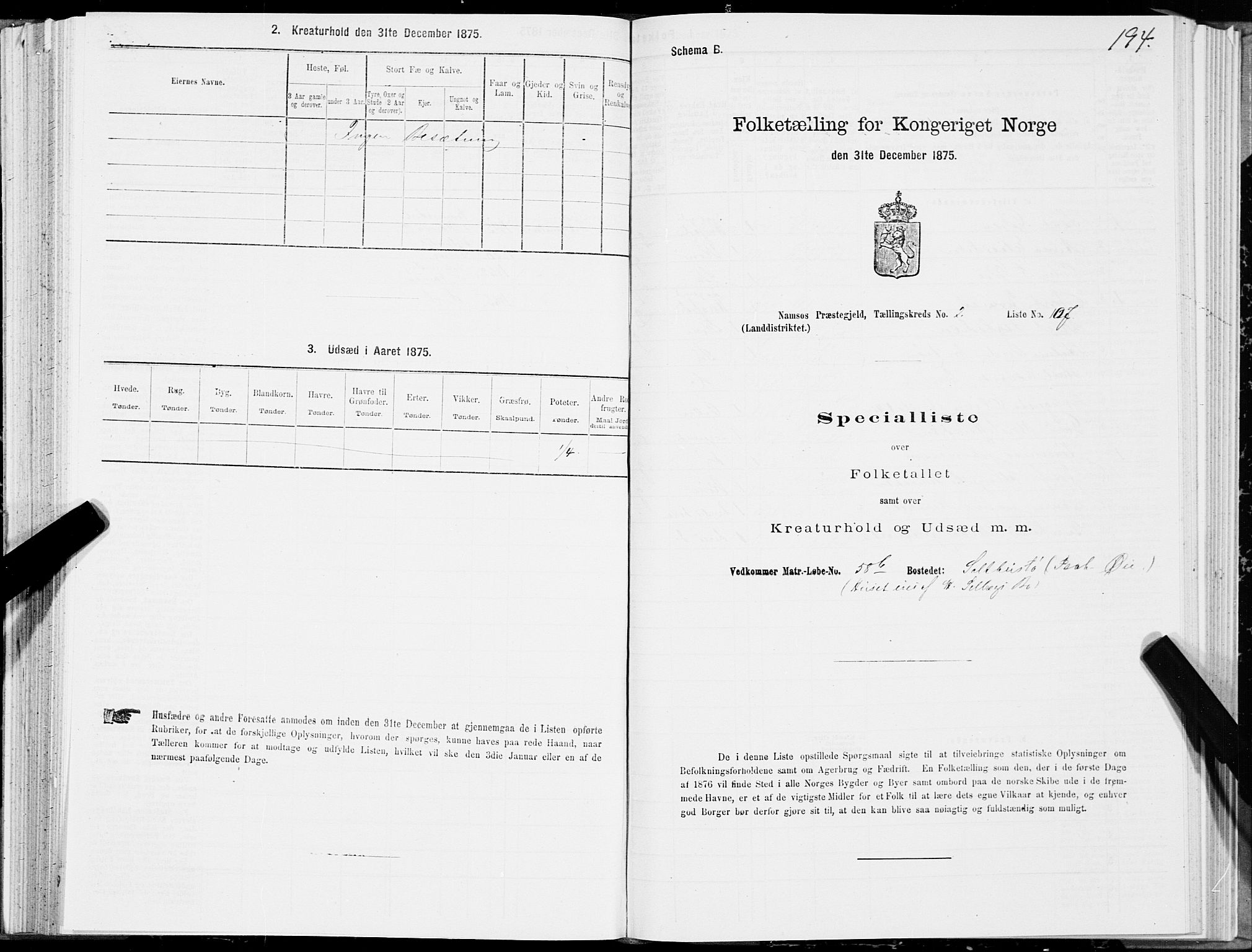 SAT, 1875 census for 1745L Namsos/Vemundvik og Sævik, 1875, p. 2194