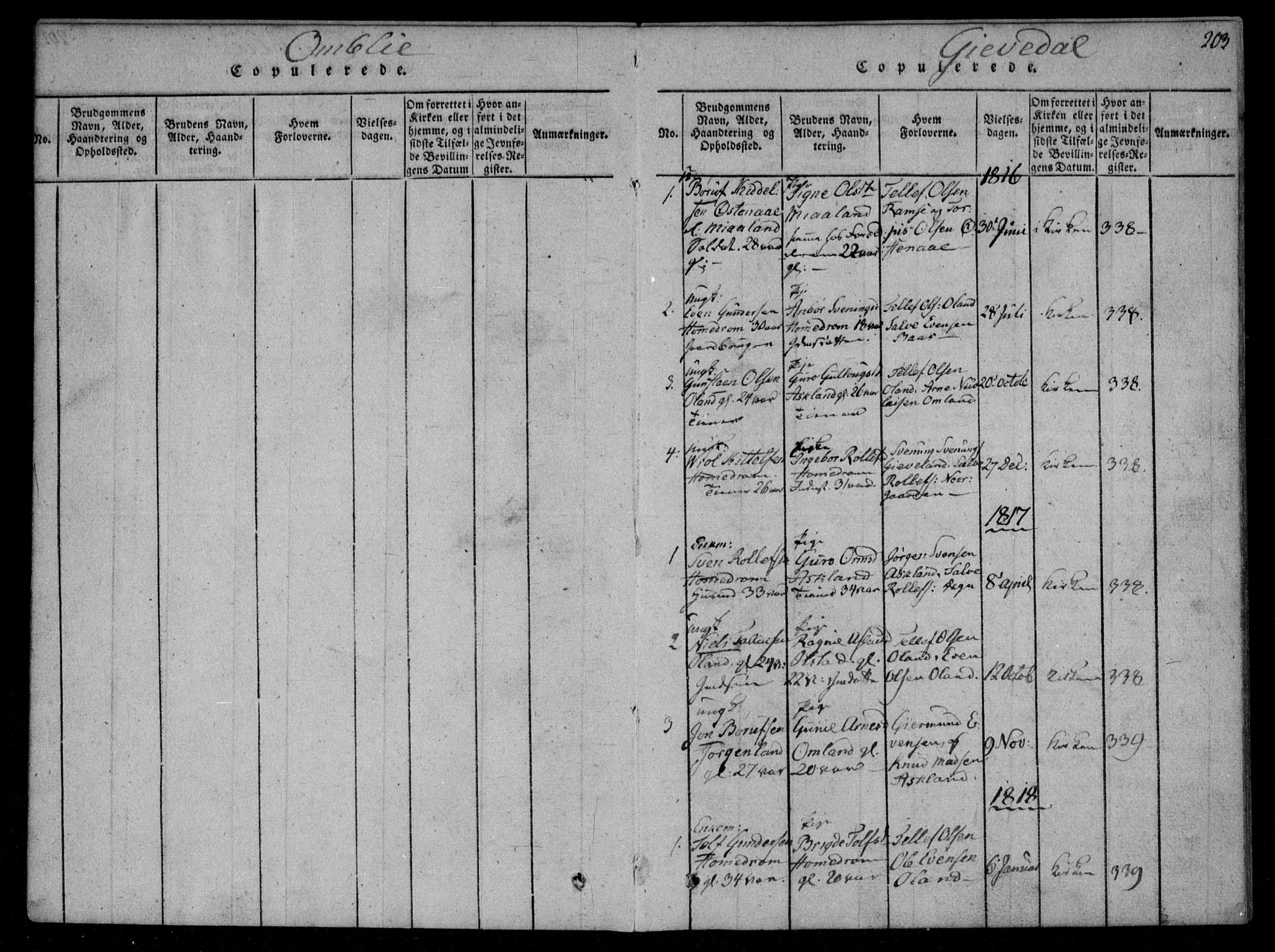 Åmli sokneprestkontor, AV/SAK-1111-0050/F/Fa/Fac/L0006: Parish register (official) no. A 6, 1816-1829, p. 203