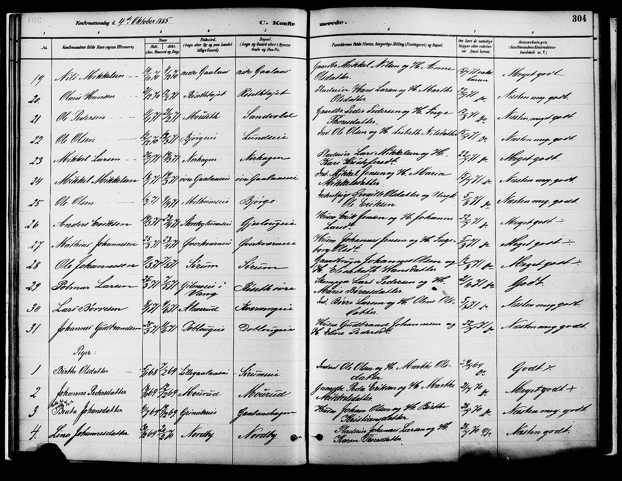 Vang prestekontor, Hedmark, AV/SAH-PREST-008/H/Ha/Haa/L0018B: Parish register (official) no. 18B, 1880-1906, p. 304