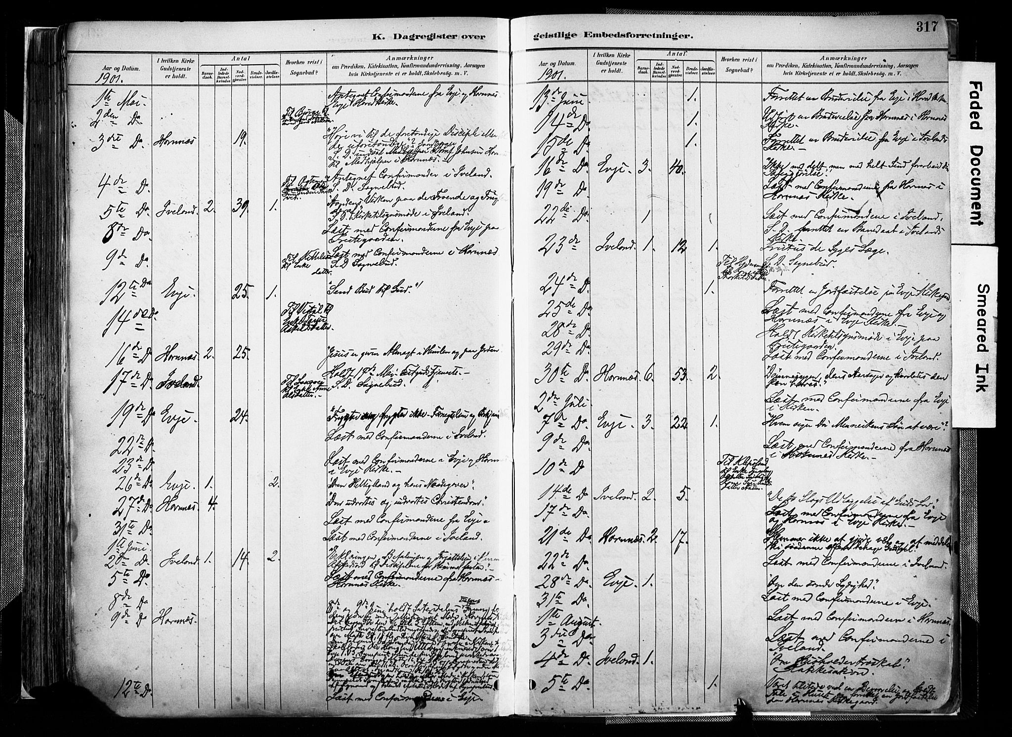 Evje sokneprestkontor, AV/SAK-1111-0008/F/Fa/Faa/L0007: Parish register (official) no. A 7, 1884-1909, p. 317