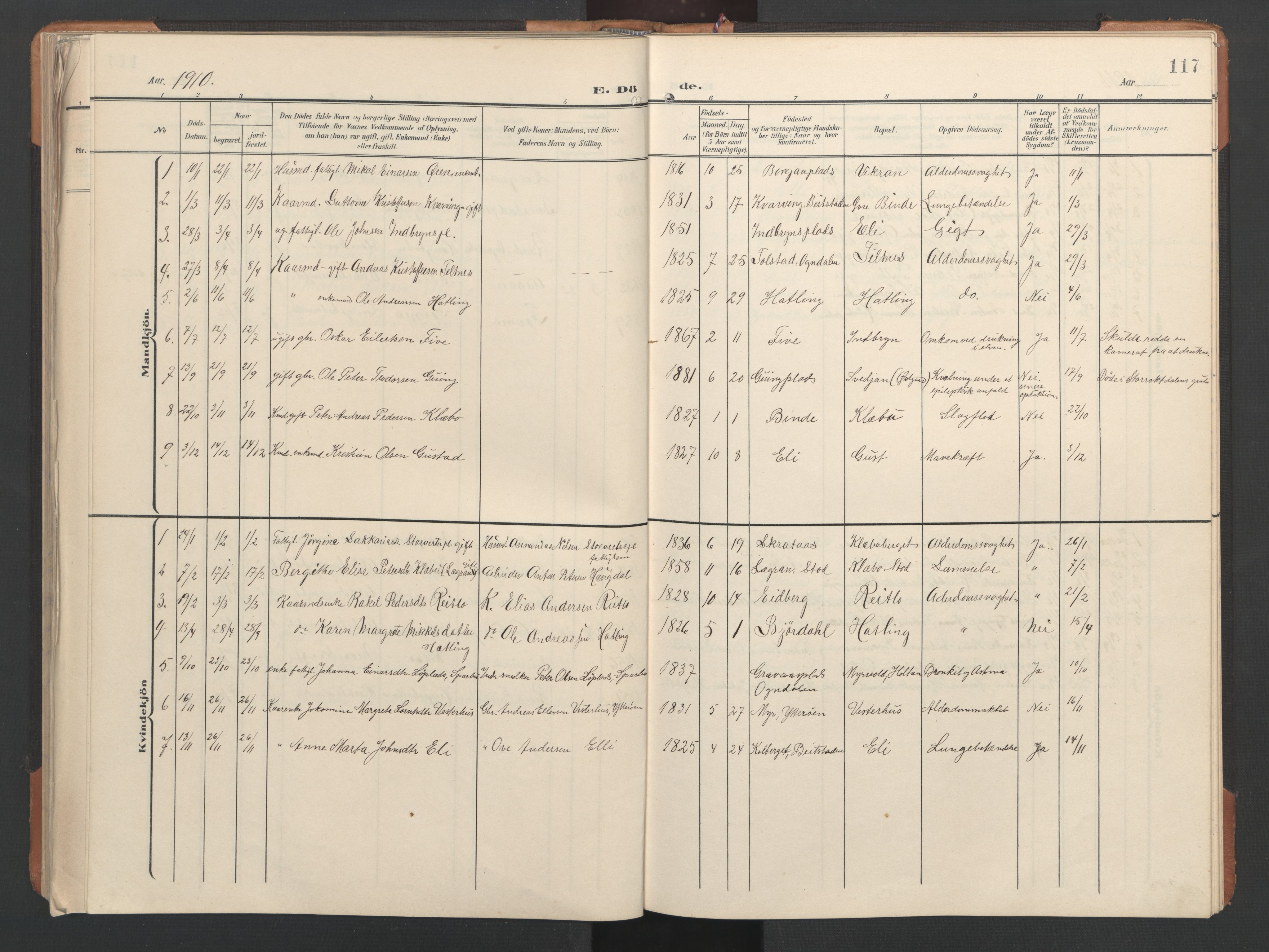Ministerialprotokoller, klokkerbøker og fødselsregistre - Nord-Trøndelag, SAT/A-1458/746/L0455: Parish register (copy) no. 746C01, 1908-1933, p. 117