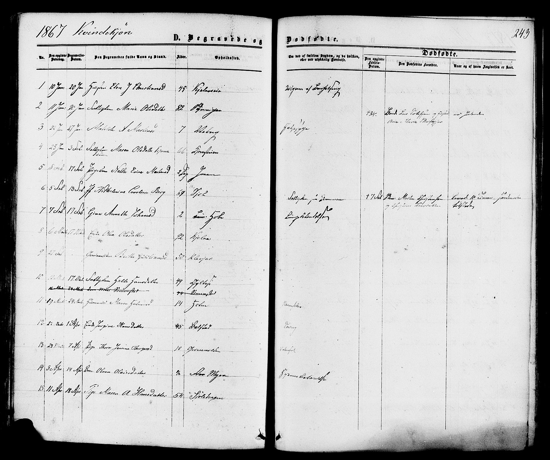 Sande Kirkebøker, SAKO/A-53/F/Fa/L0005: Parish register (official) no. 5, 1865-1877, p. 243