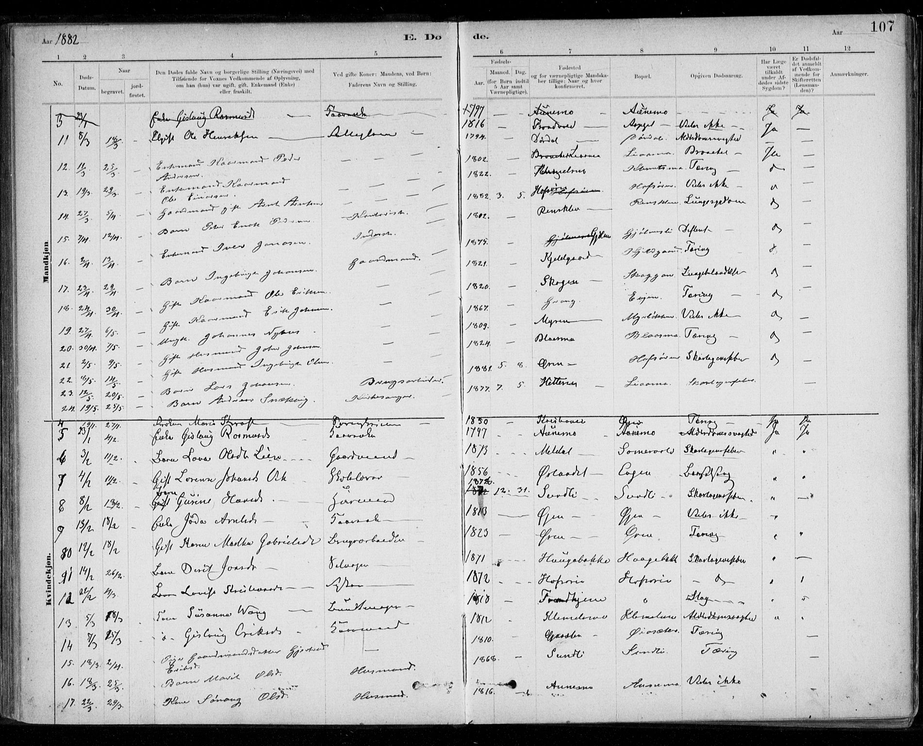 Ministerialprotokoller, klokkerbøker og fødselsregistre - Sør-Trøndelag, AV/SAT-A-1456/668/L0810: Parish register (official) no. 668A10, 1881-1894, p. 107