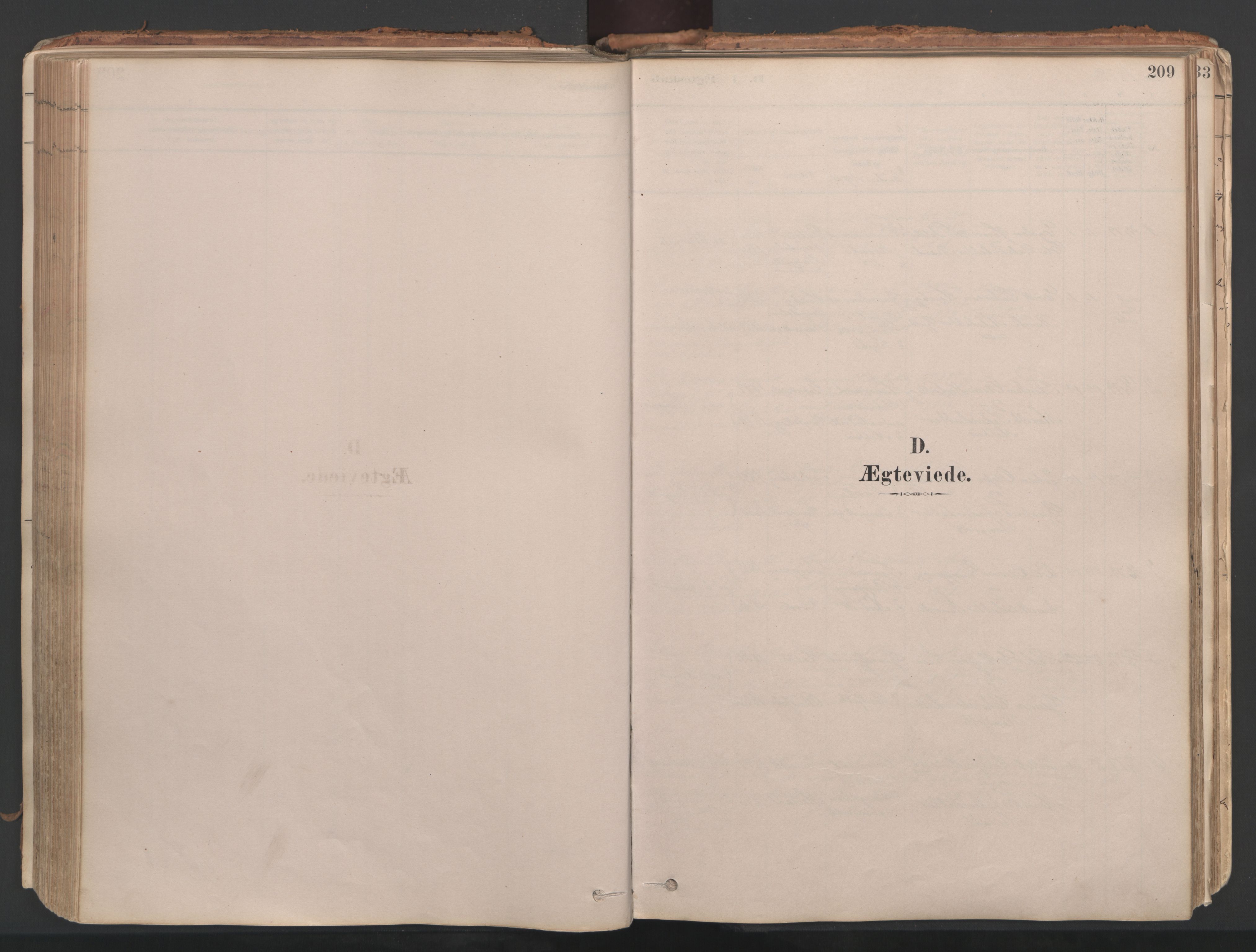 Ministerialprotokoller, klokkerbøker og fødselsregistre - Møre og Romsdal, SAT/A-1454/592/L1029: Parish register (official) no. 592A07, 1879-1902, p. 209