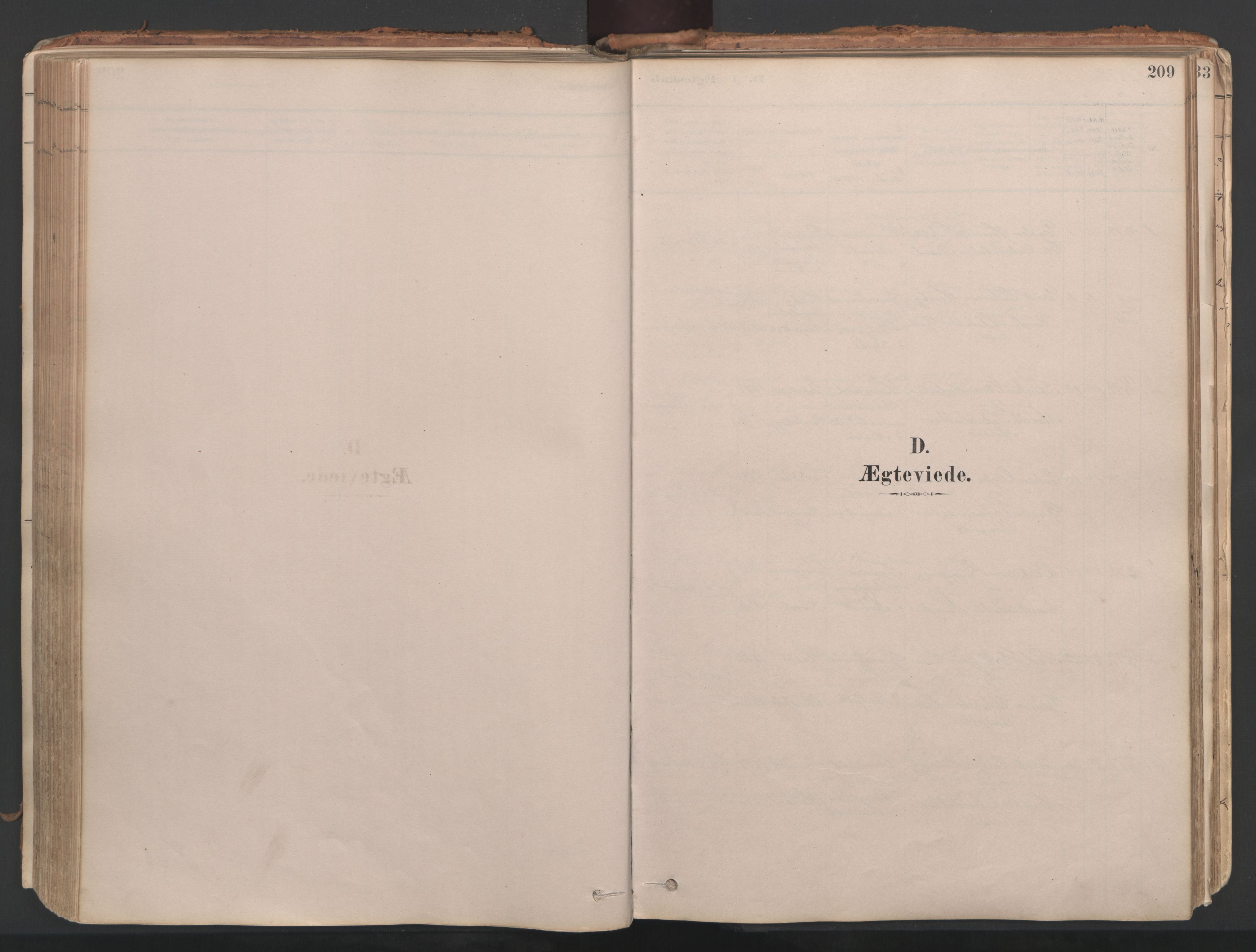 Ministerialprotokoller, klokkerbøker og fødselsregistre - Møre og Romsdal, AV/SAT-A-1454/592/L1029: Parish register (official) no. 592A07, 1879-1902, p. 209