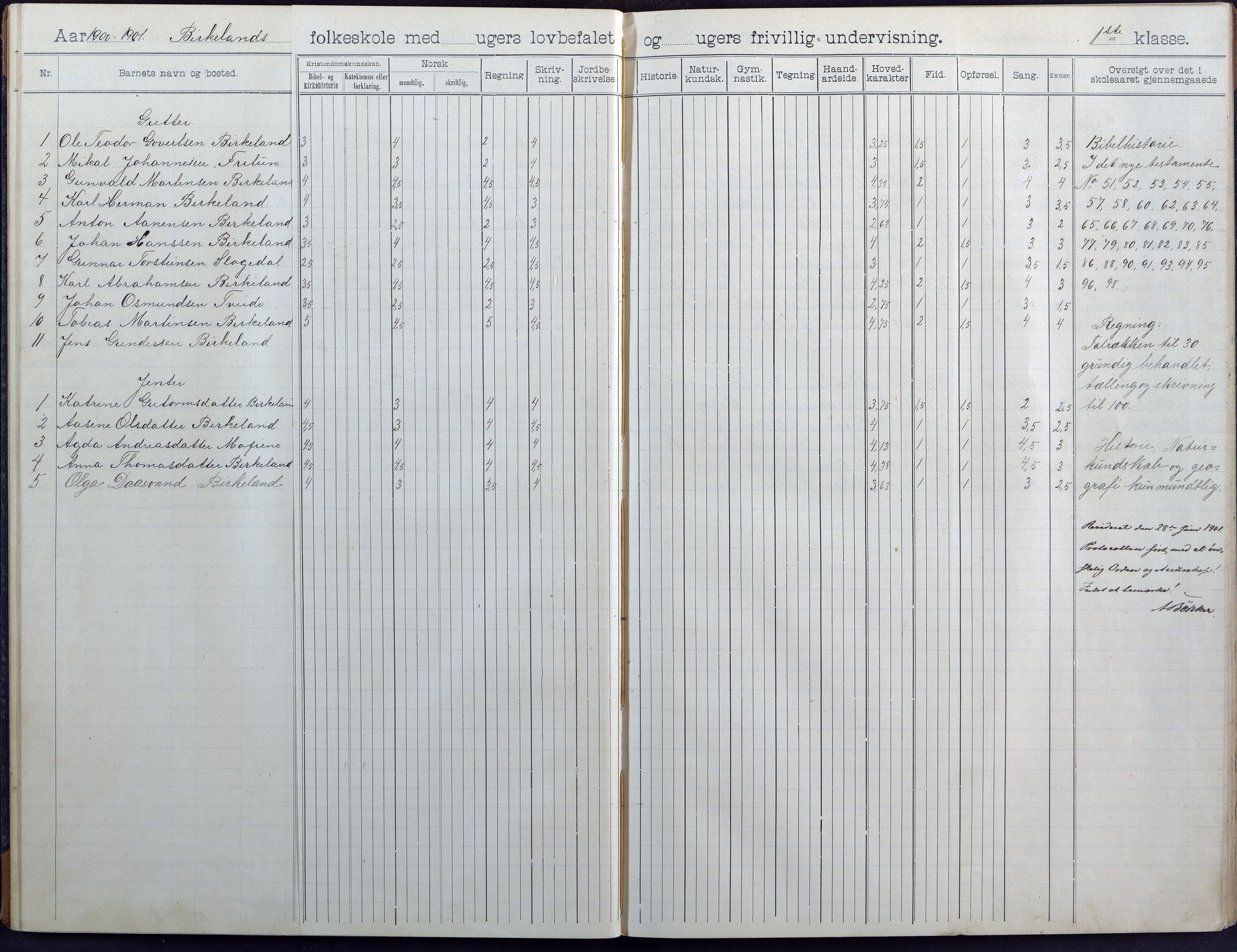 Birkenes kommune, Birkenes krets/Birkeland folkeskole frem til 1991, AAKS/KA0928-550a_91/F02/L0005: Skoleprotokoll, 1898-1911