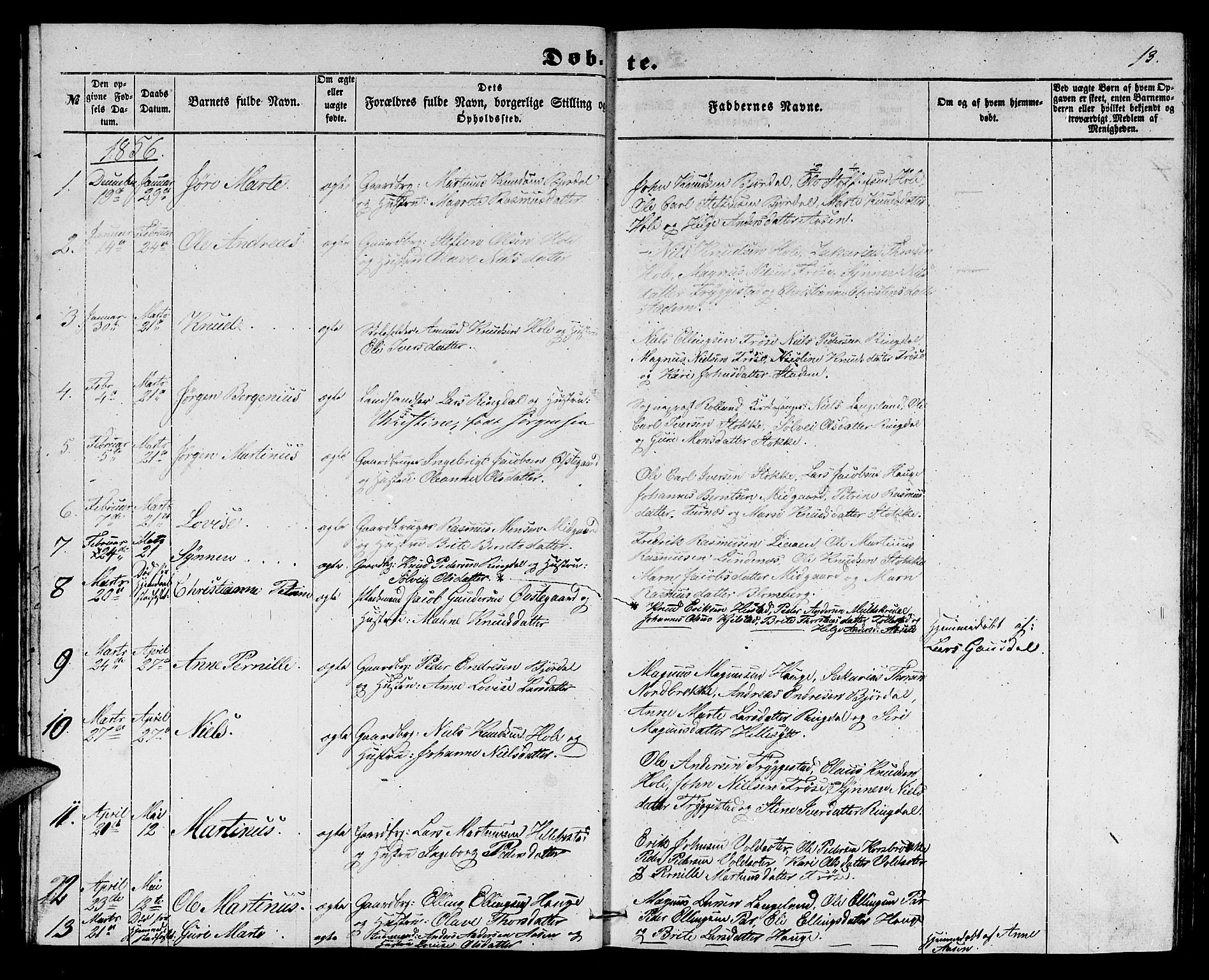 Ministerialprotokoller, klokkerbøker og fødselsregistre - Møre og Romsdal, SAT/A-1454/517/L0228: Parish register (copy) no. 517C01, 1854-1865, p. 13